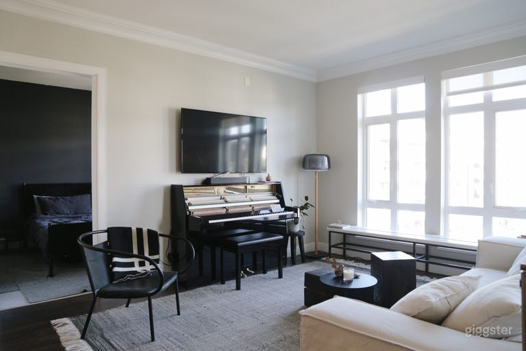  Stylish and Spacious Apartment 