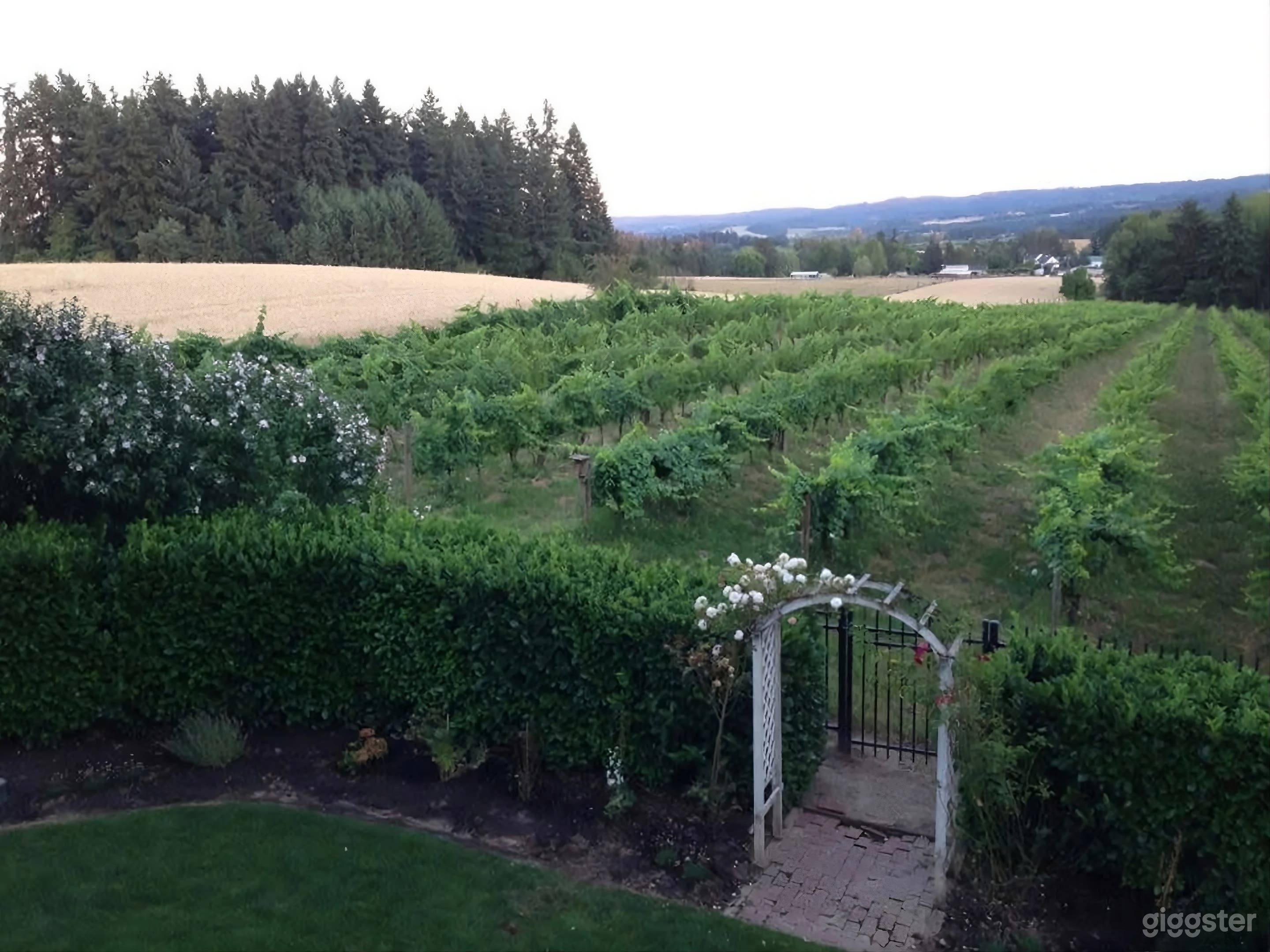 Country Vineyard Estate On 5 Acres With Southern View Photo 4