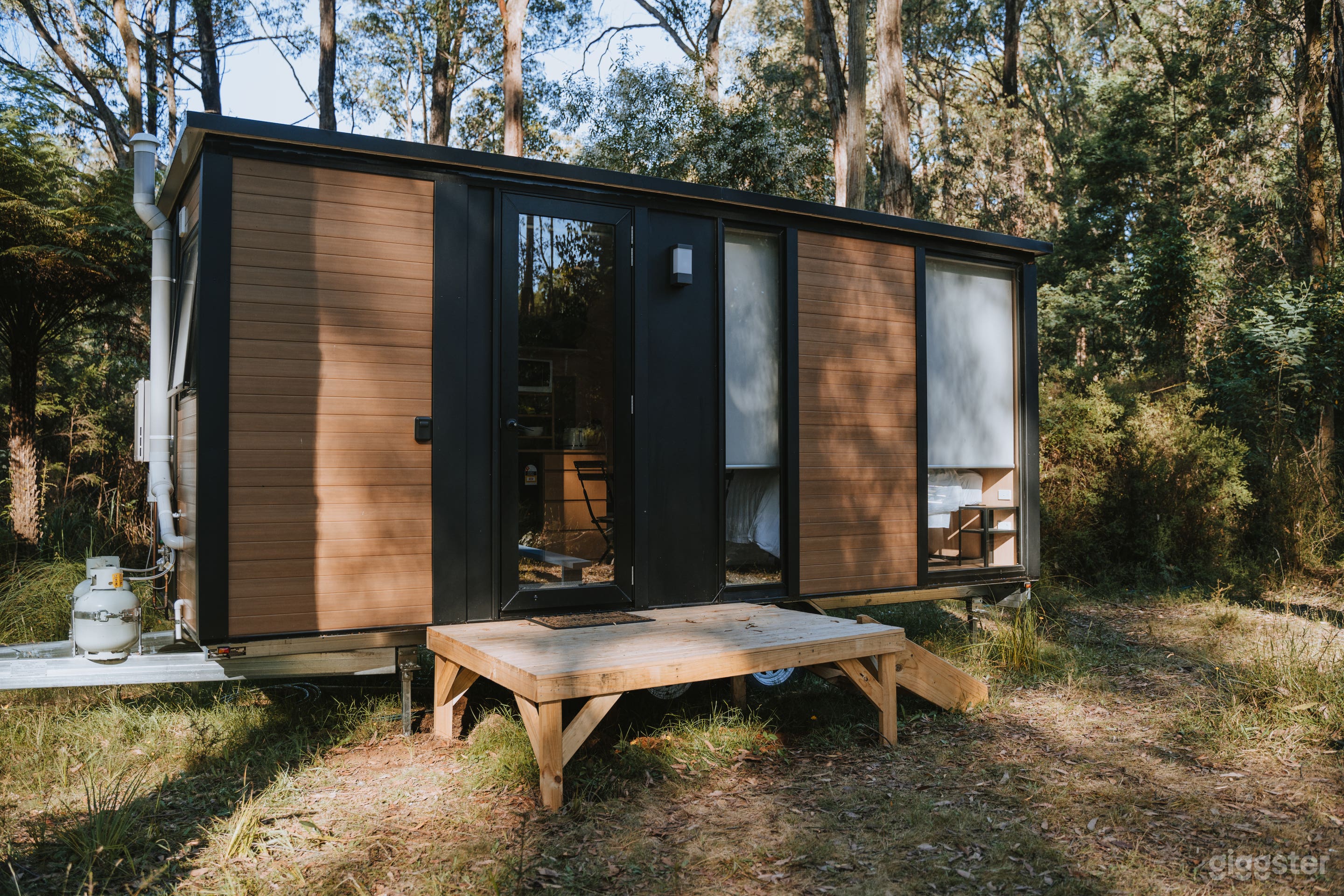 Quantum Field Photo 2