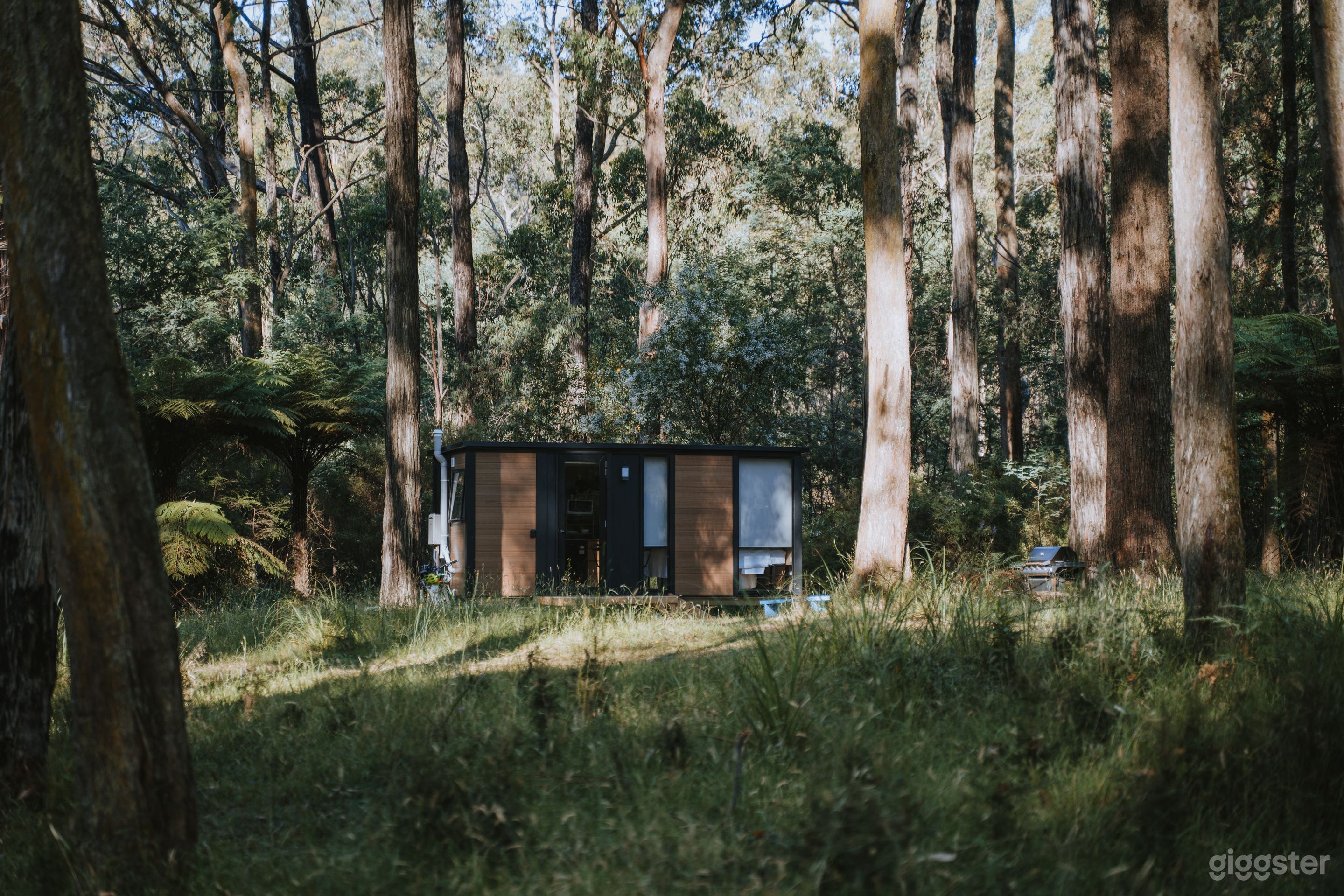 Quantum Field Photo 3