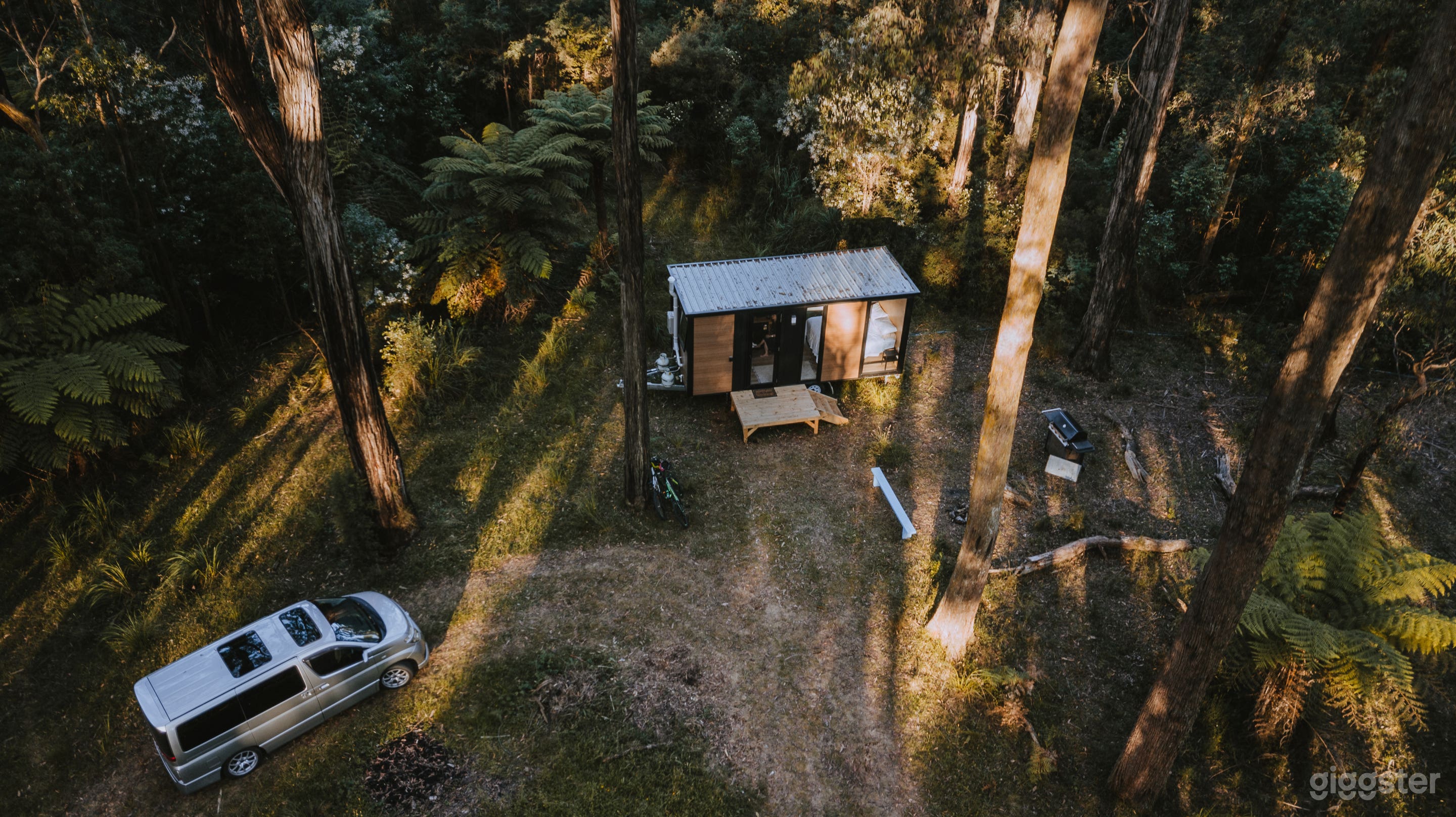 Quantum Field Photo 4