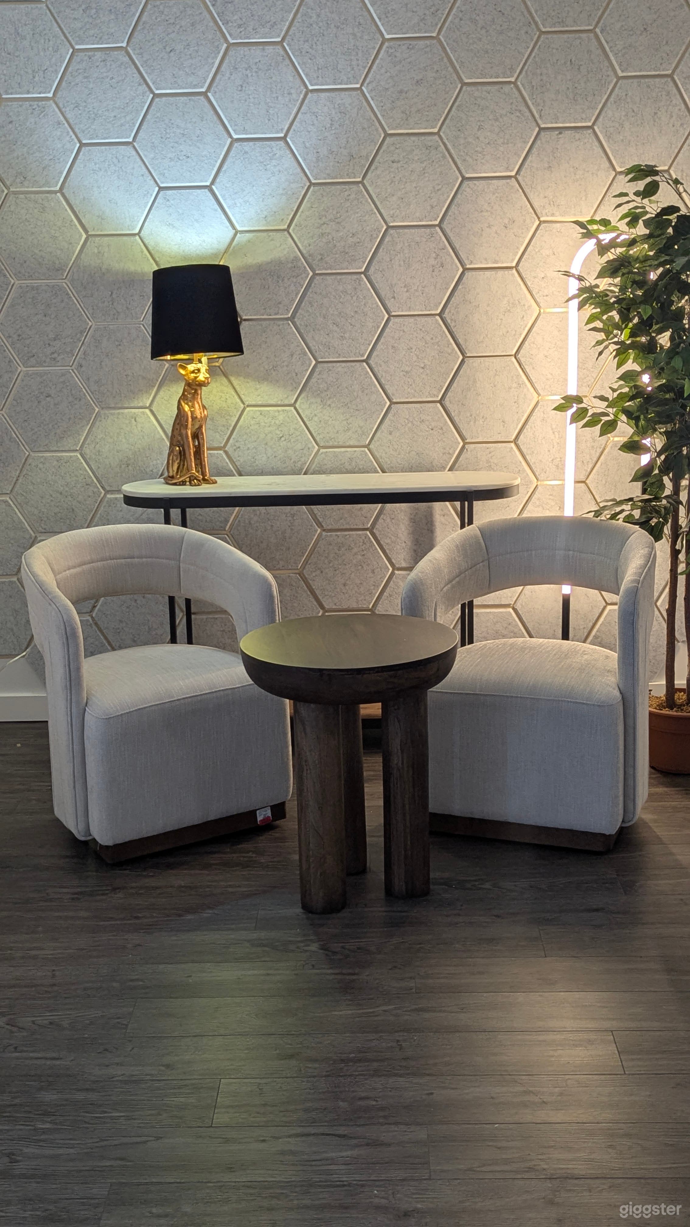 180 sq. ft. wark room space for interviews, lessons, video blogs and podcasts with custom backdrops to order. Plus makeup area, hall and washroom out of room