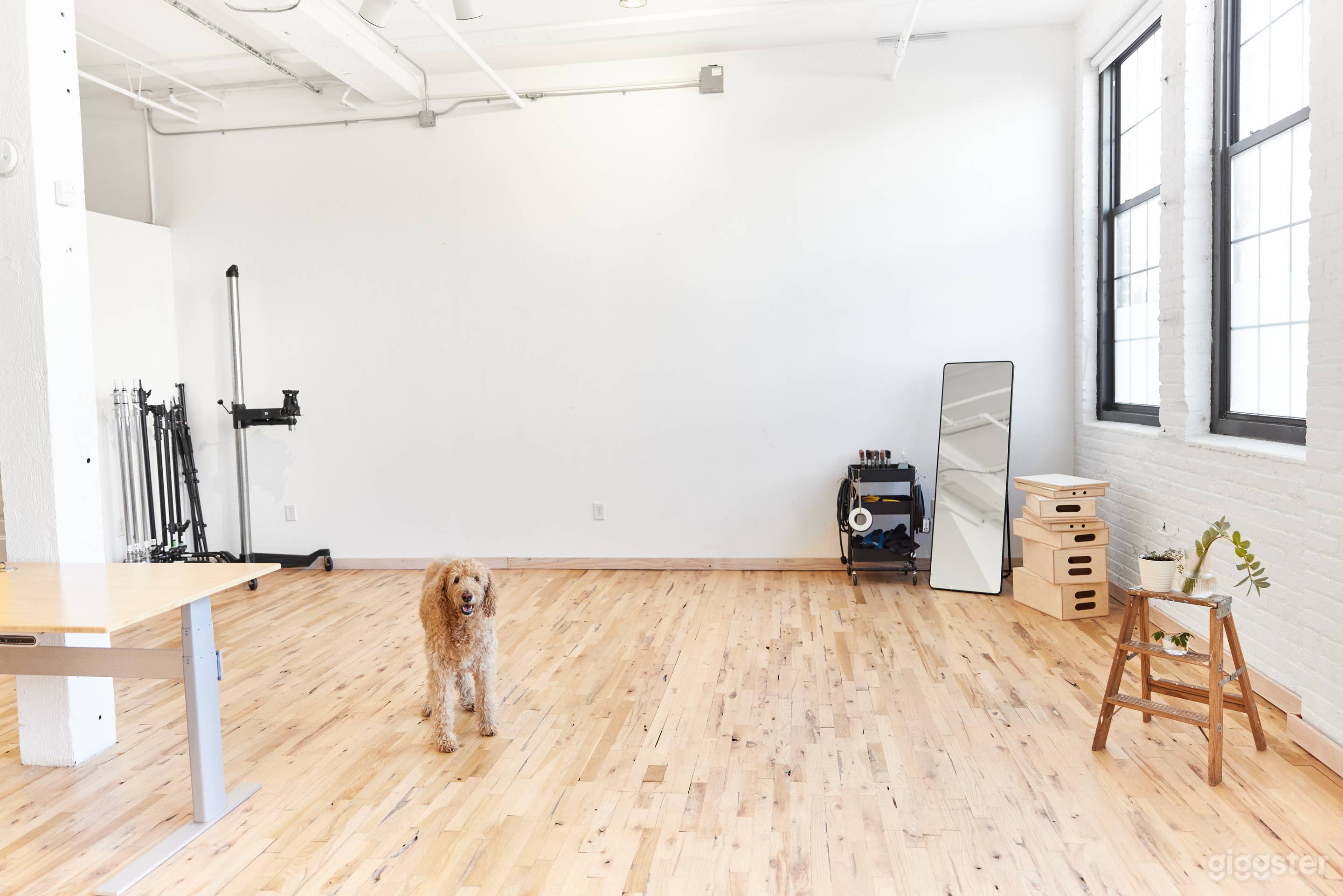 Photo Studio in NE Minneapolis with Kitchen Photo 1