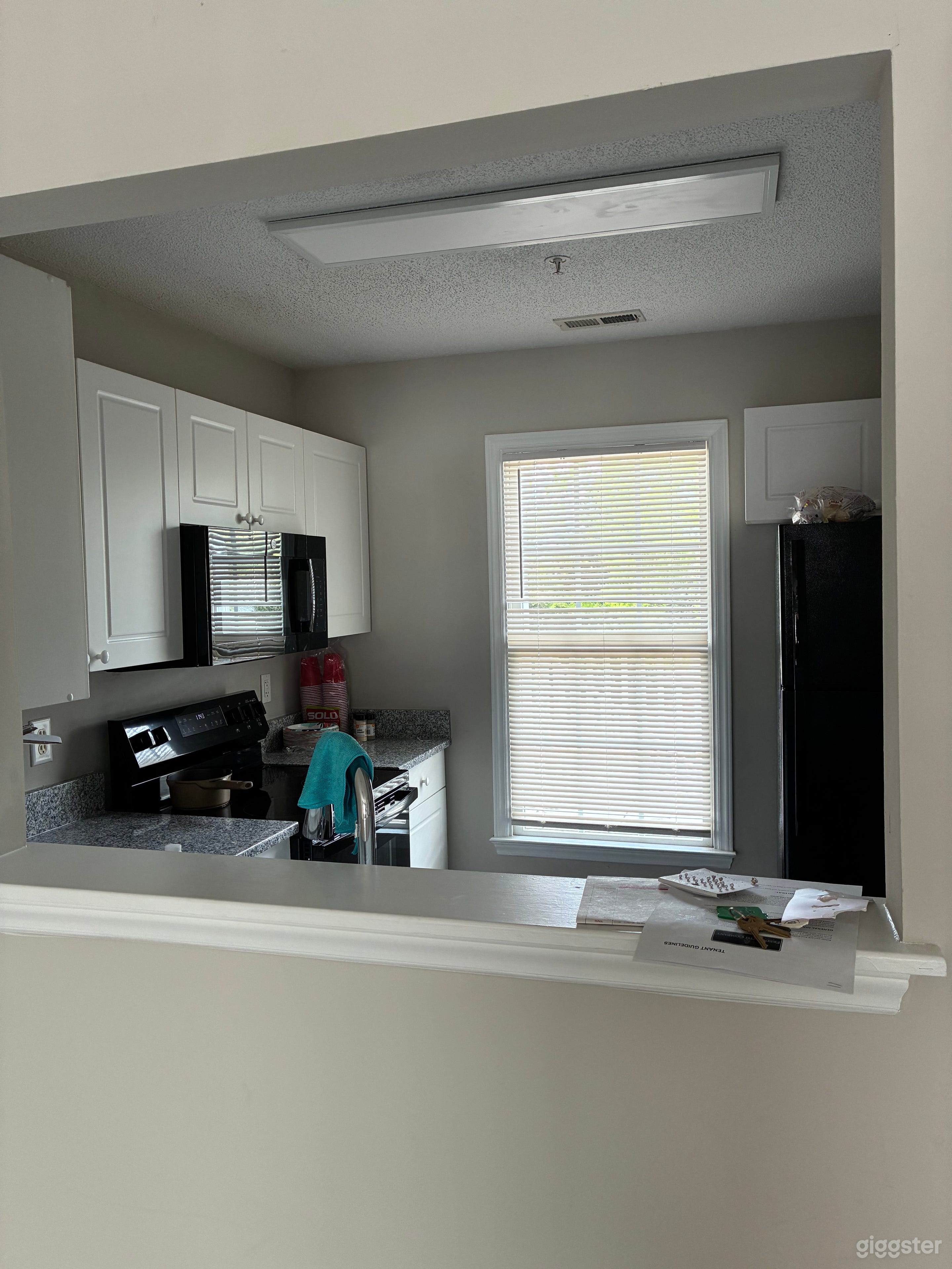 Bright Modern Townhouse for Film & Photo Photo 4