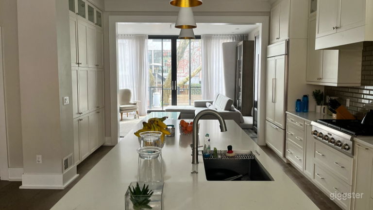  Stunning Aesthetic Townhouse in Jersey City 