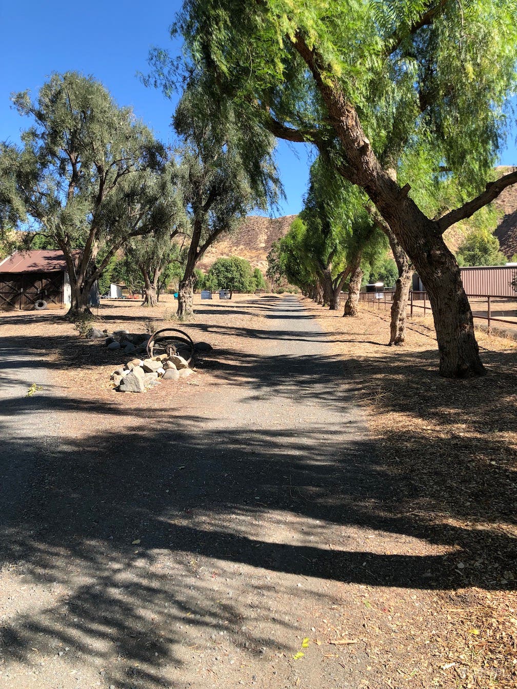 Road to barn and home