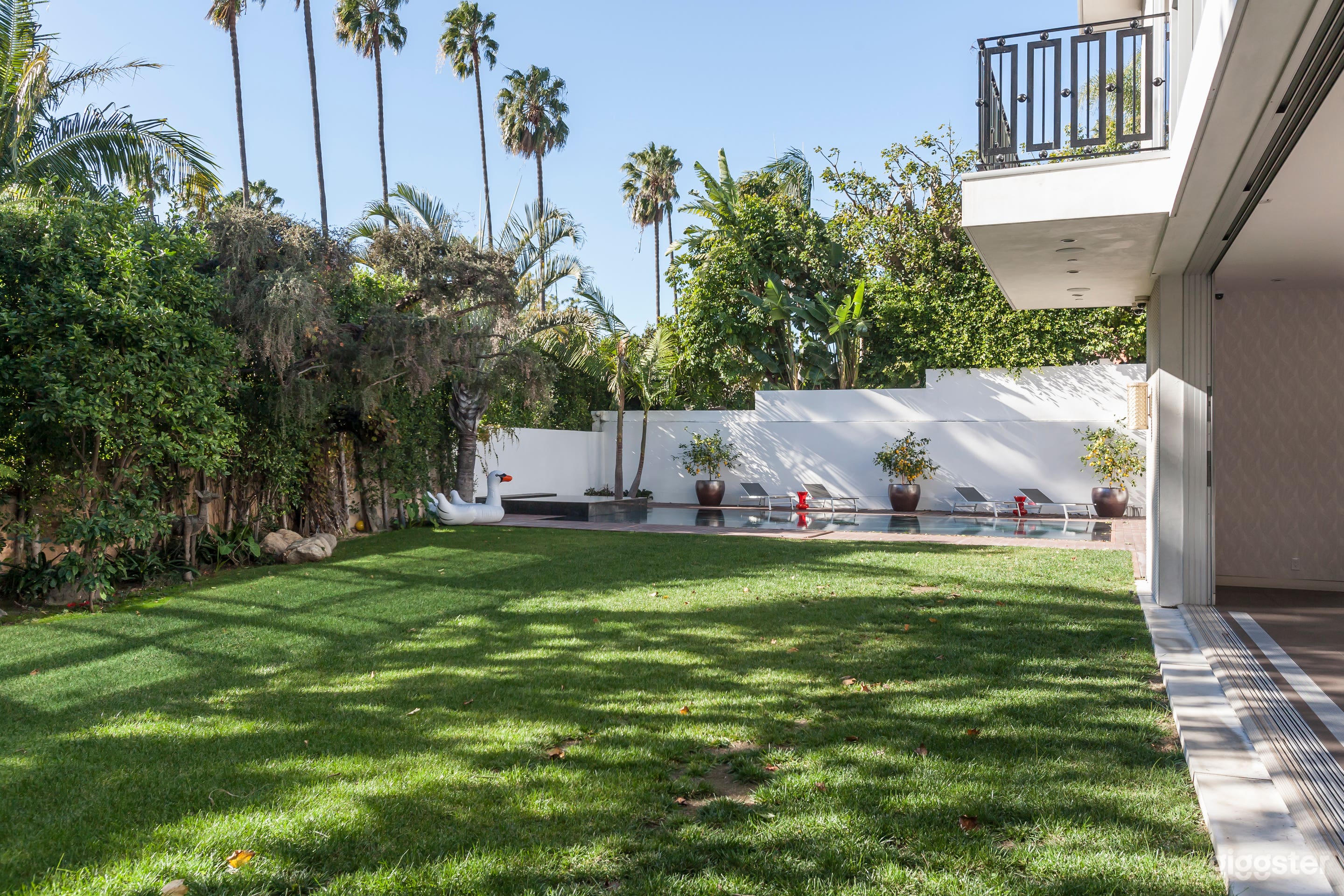 Reflection Theory Photo 3