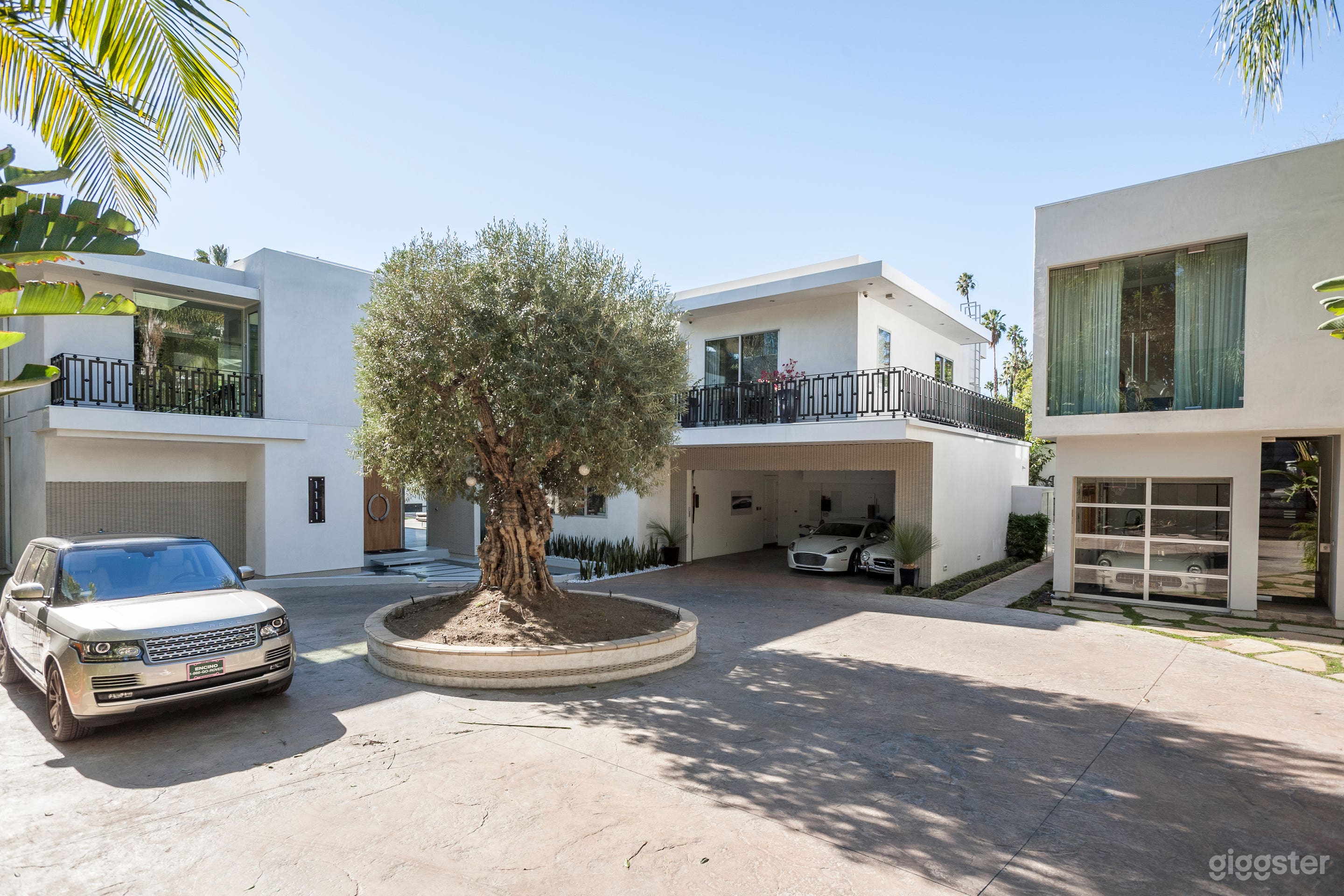 Reflection Theory Photo 1