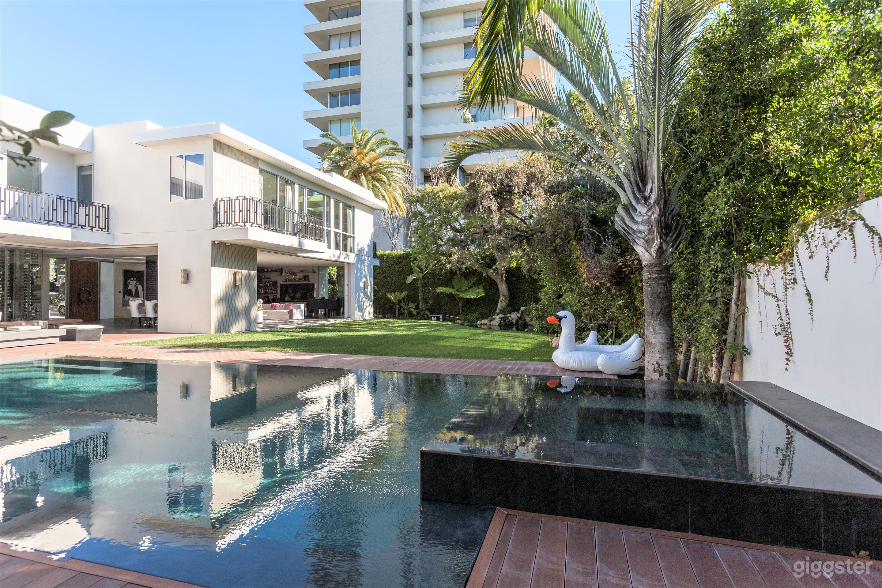 Reflection Theory Photo 4