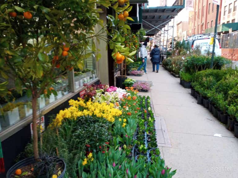  Street view in Plant district 