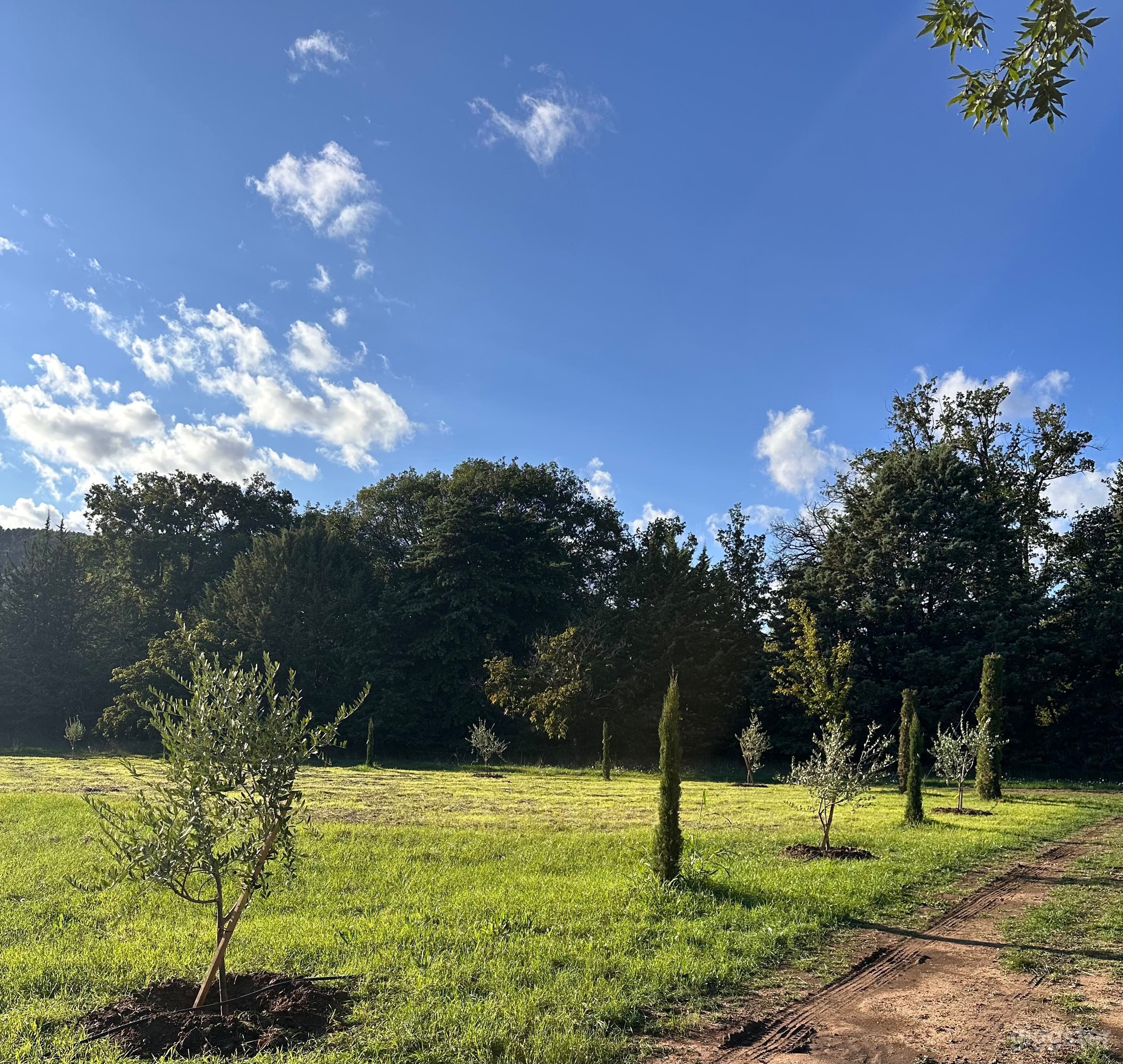 Château dans le haut Var Photo 3