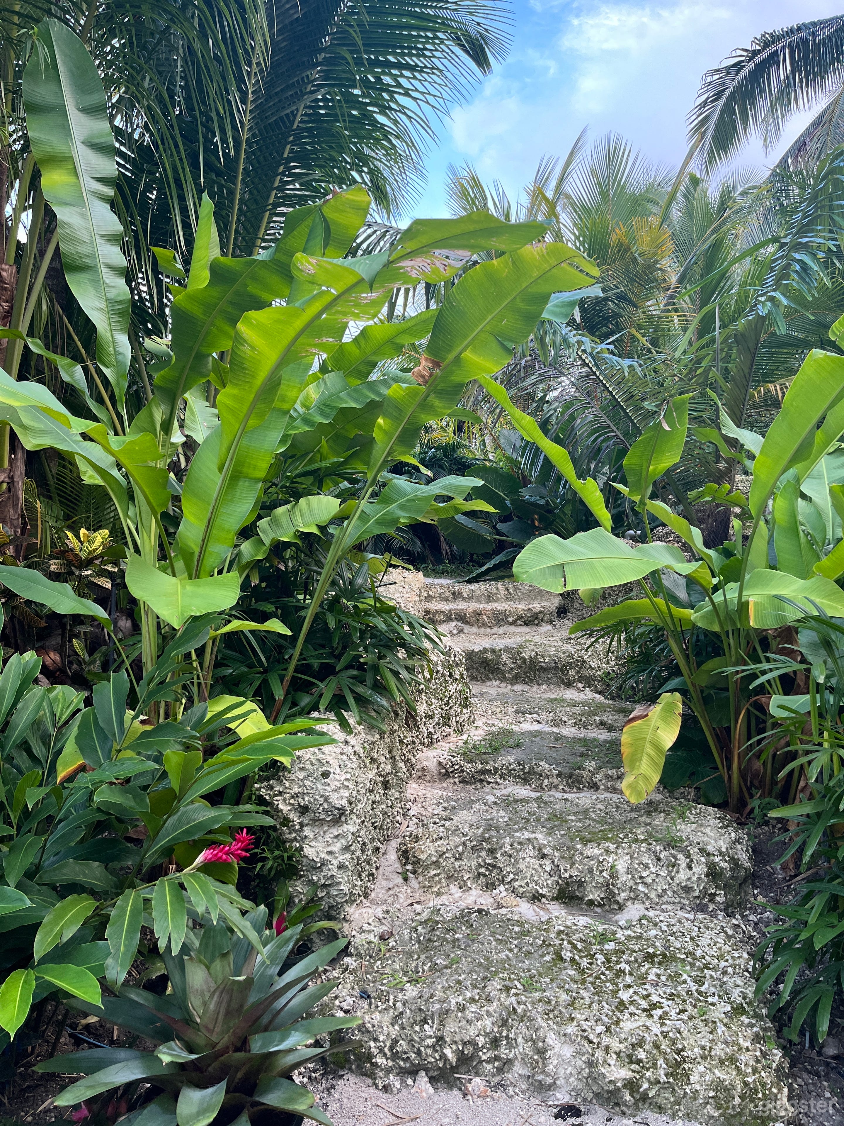 Tropical Paradise lagoons, waterfalls, tiki huts Photo 3