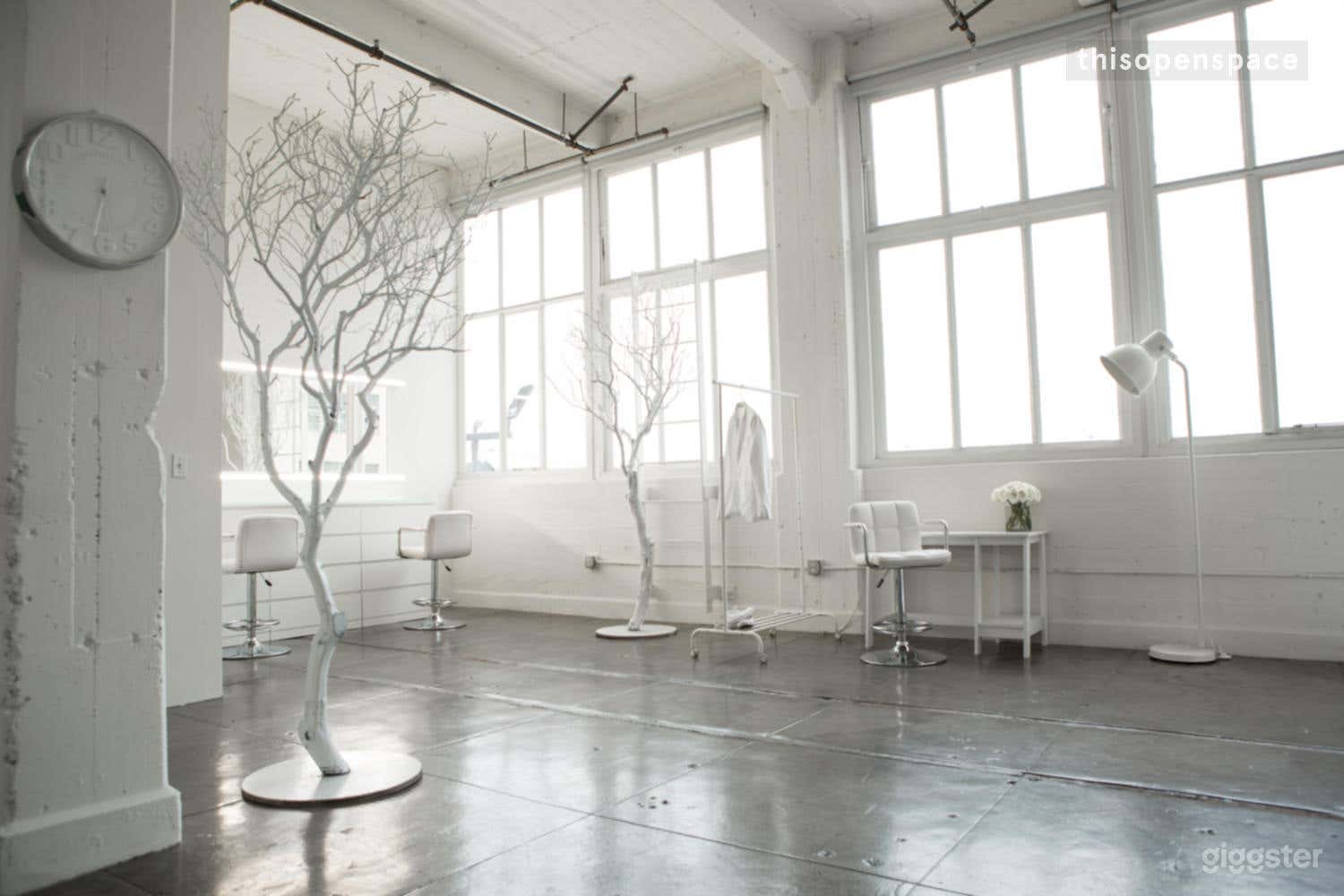 Nora's Professional Natural Lighting Studio Photo 3