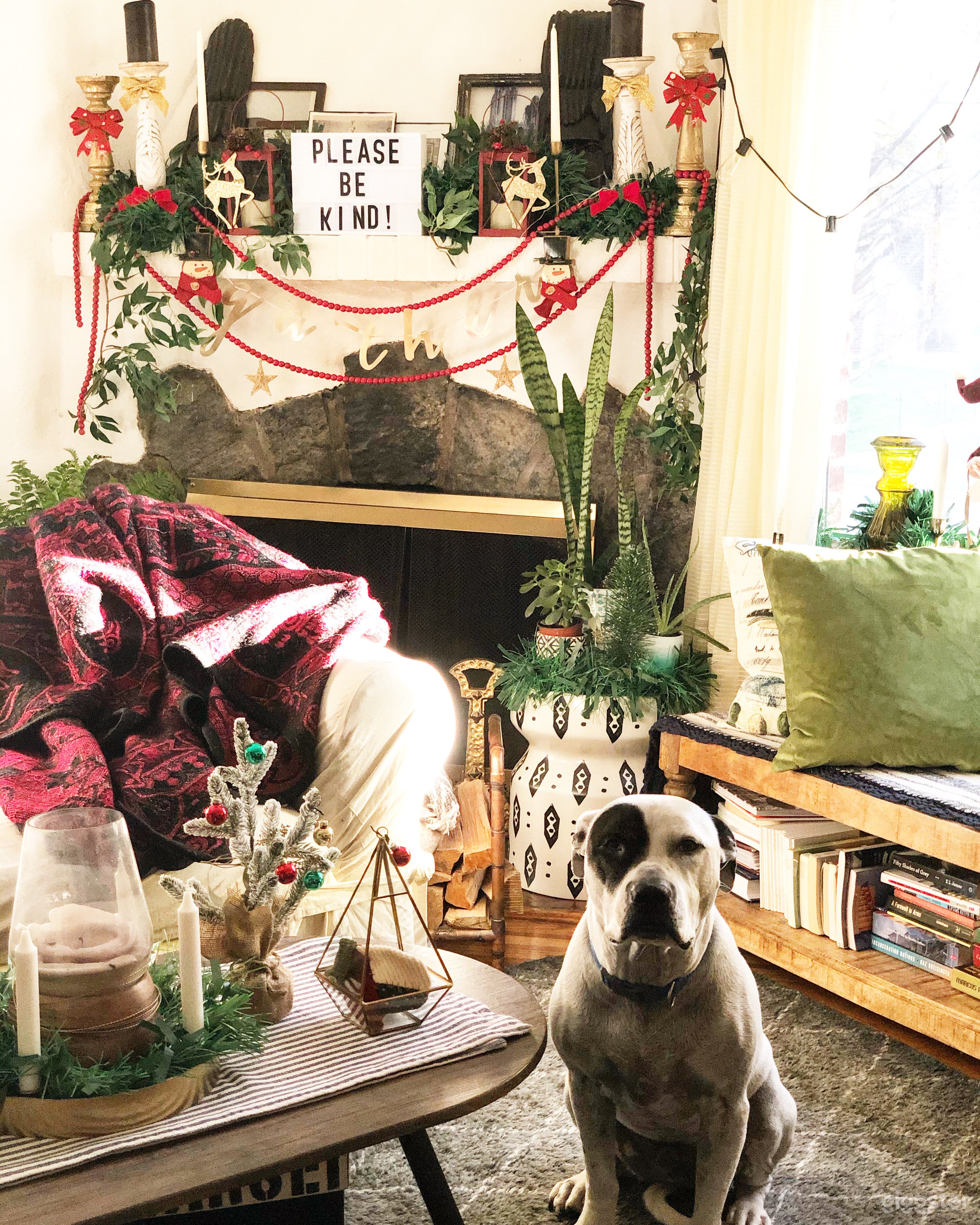 Single Family Home Down the Street Photo 2