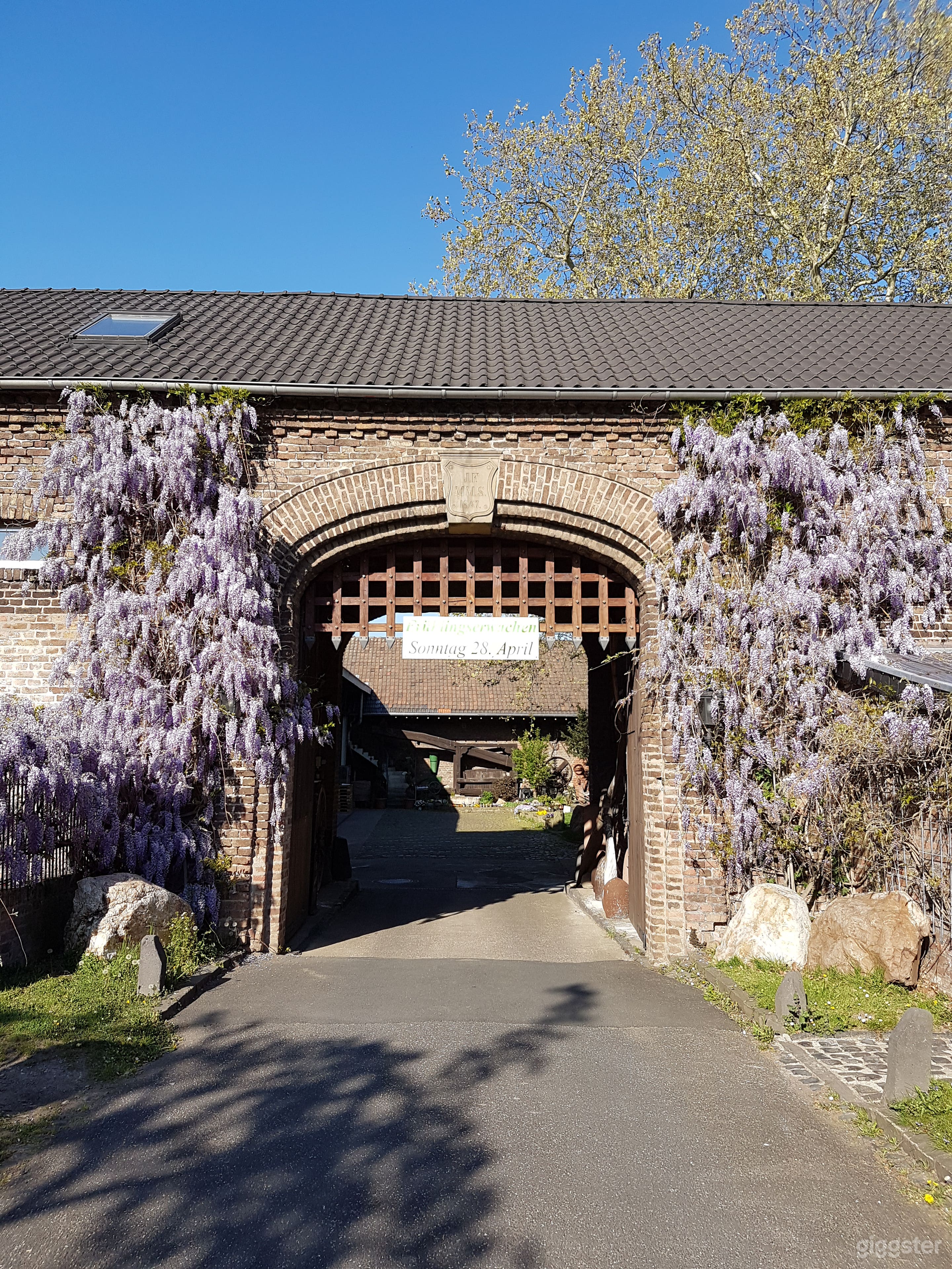 Weingut, Kellerei Weinladen in Bornheim am Rhein gelegen Foto 4