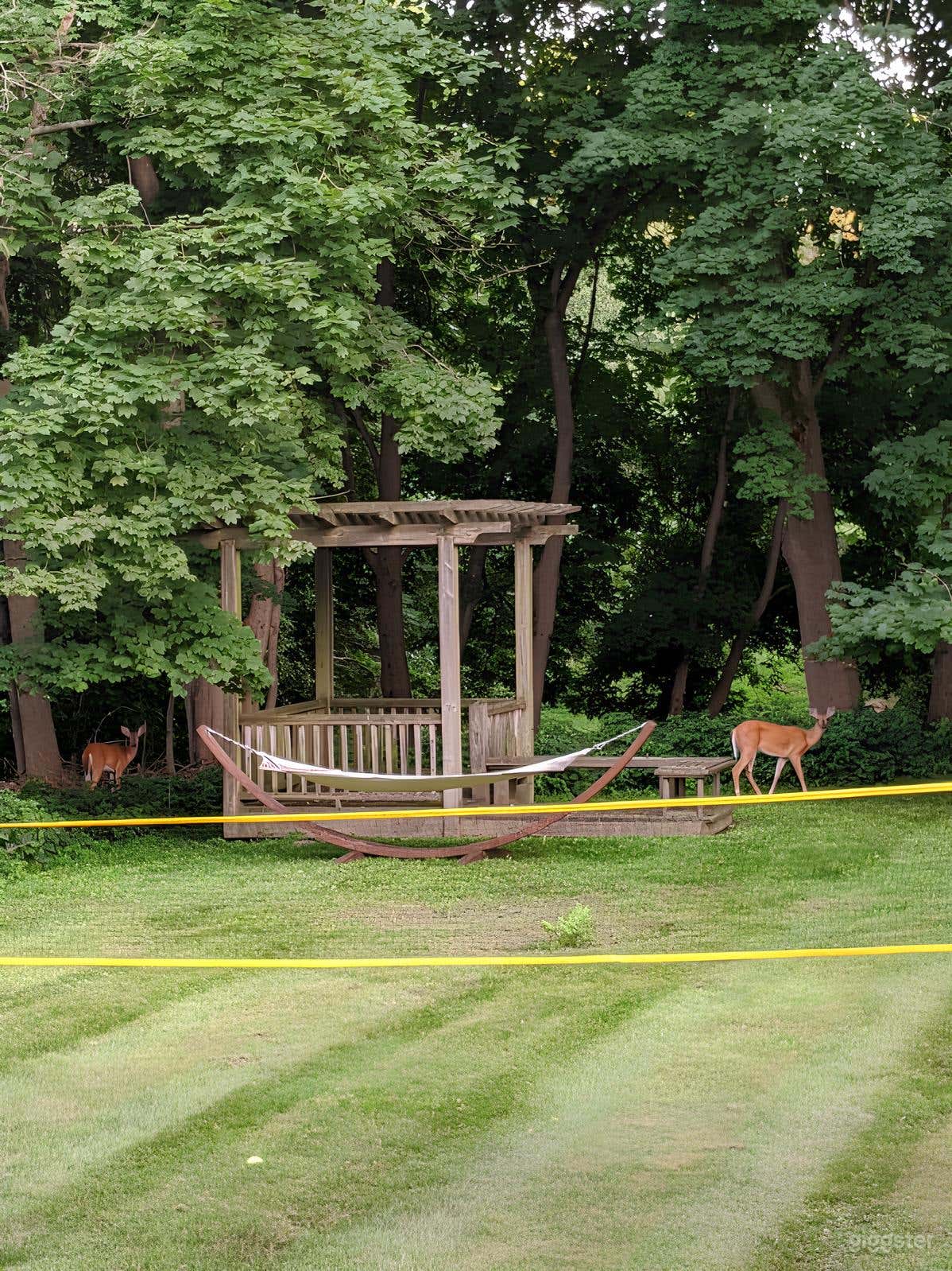 Ultimate Enchanted Backyard Escape Photo 3