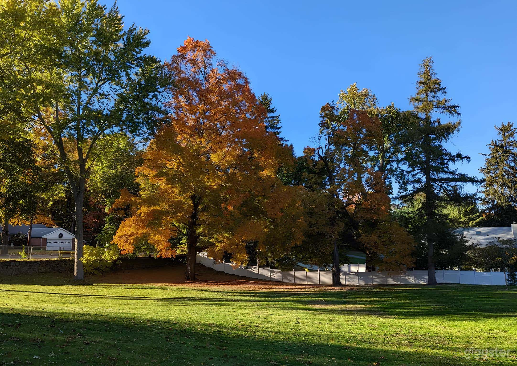 Ultimate Enchanted Backyard Escape Photo 1