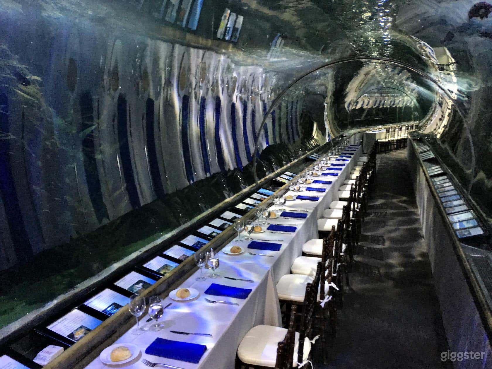 Aquarium of the Bay Photo 4