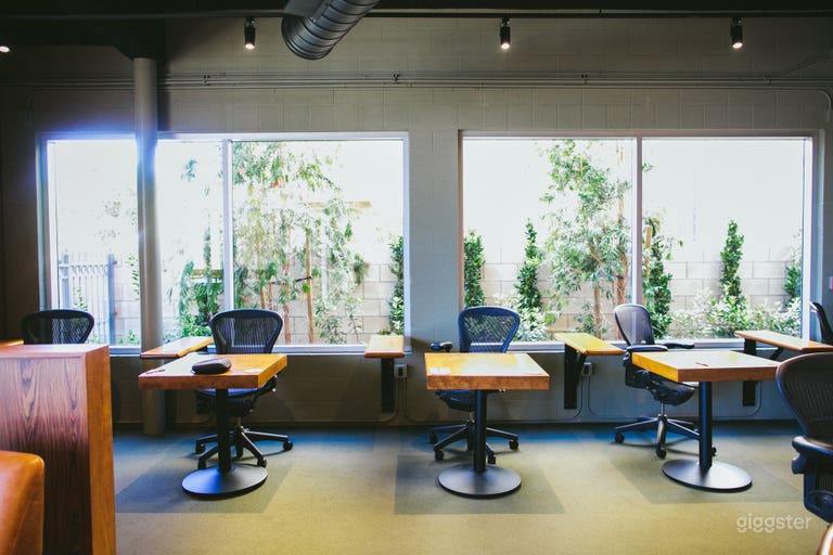  Windows looking onto small garden 