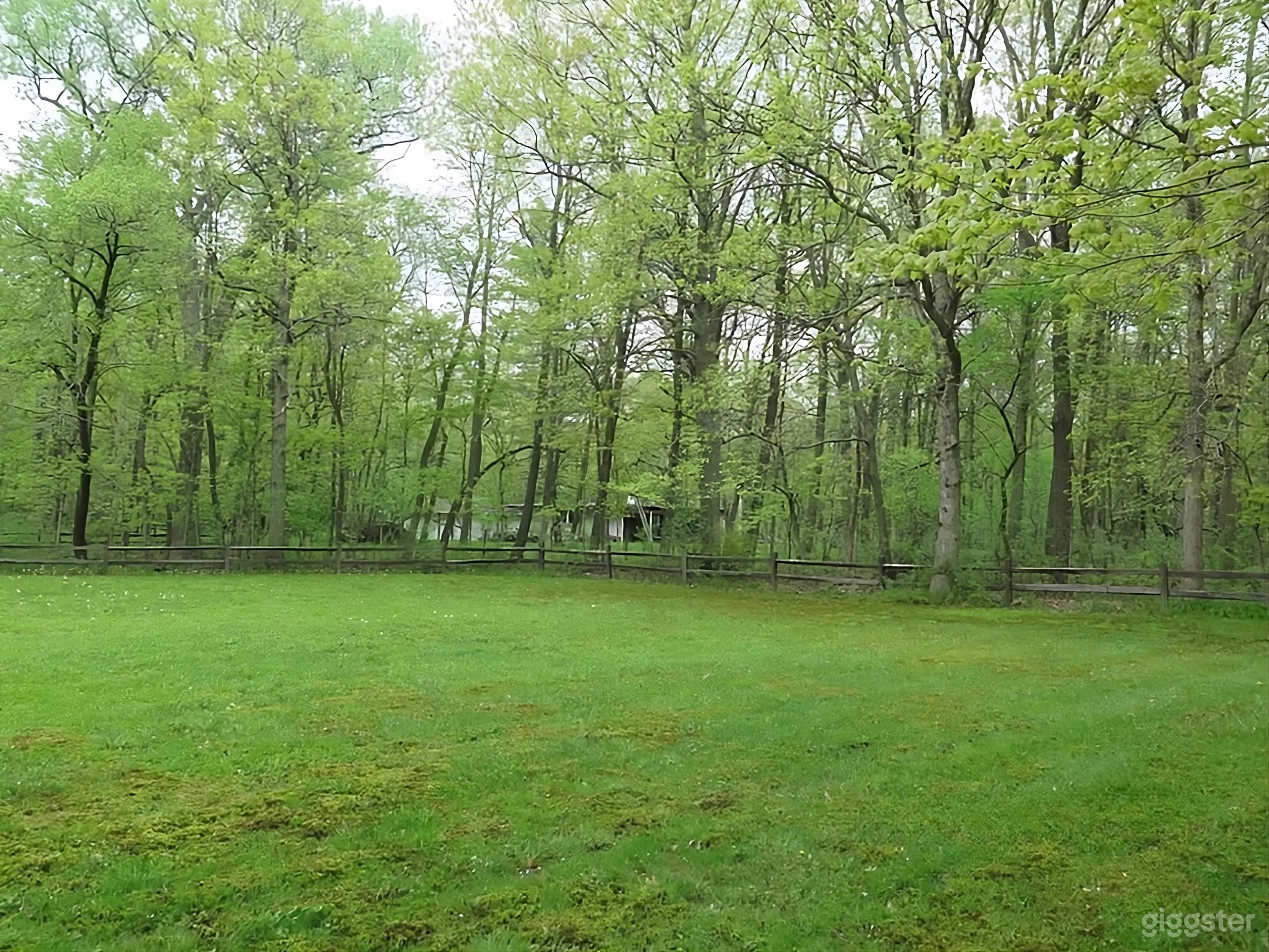 Expansive Riverside Woodland Backyard Photo 4