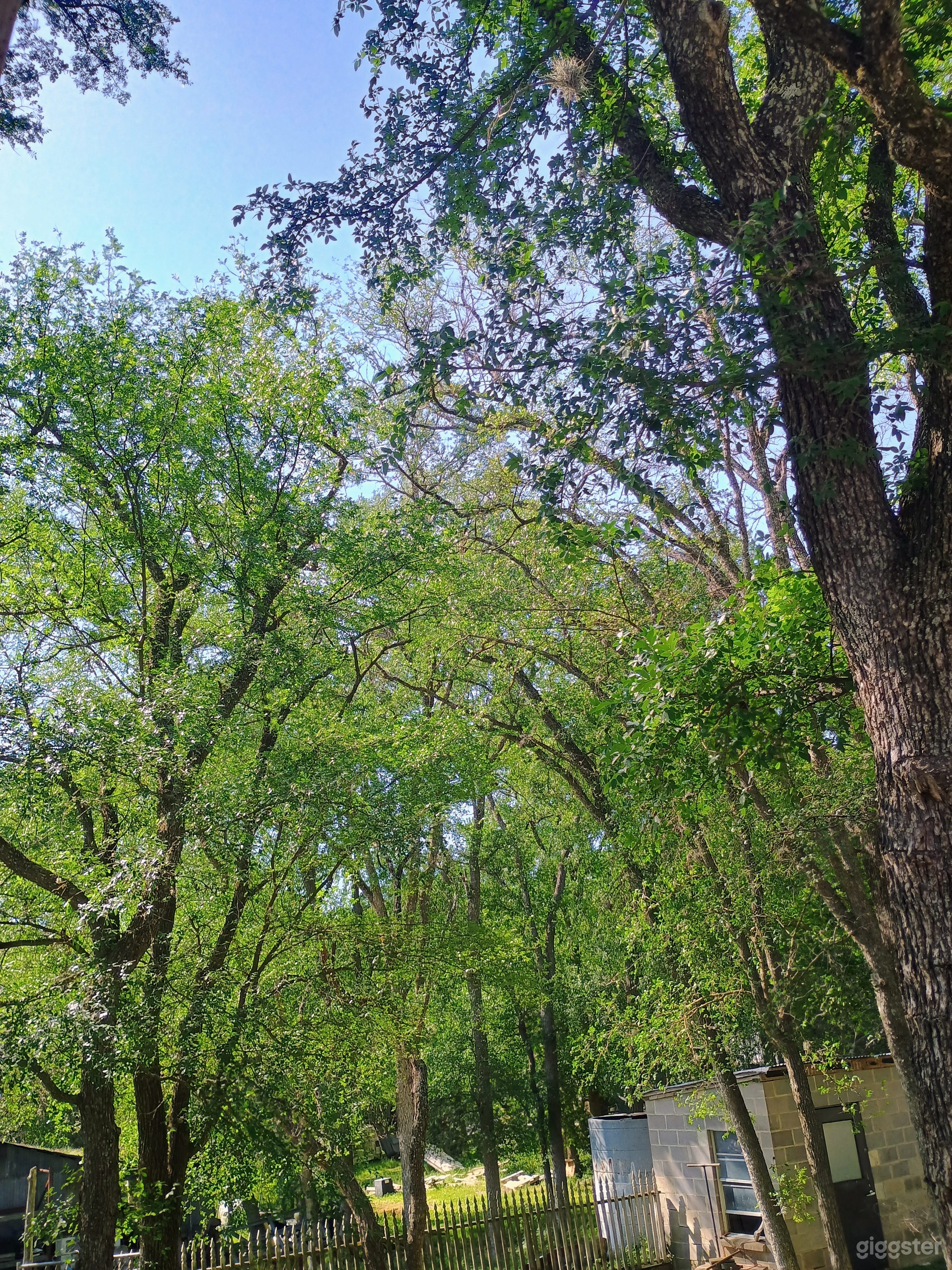 Colorado River Farm Photo 4