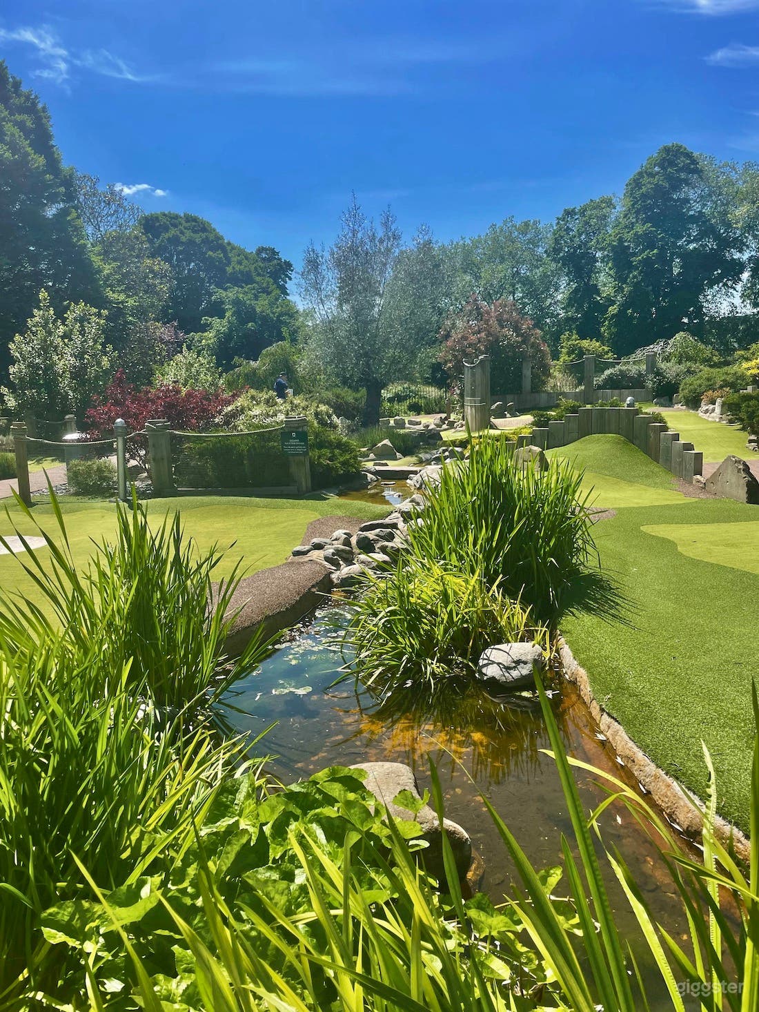 Putt in the Park Photo 4