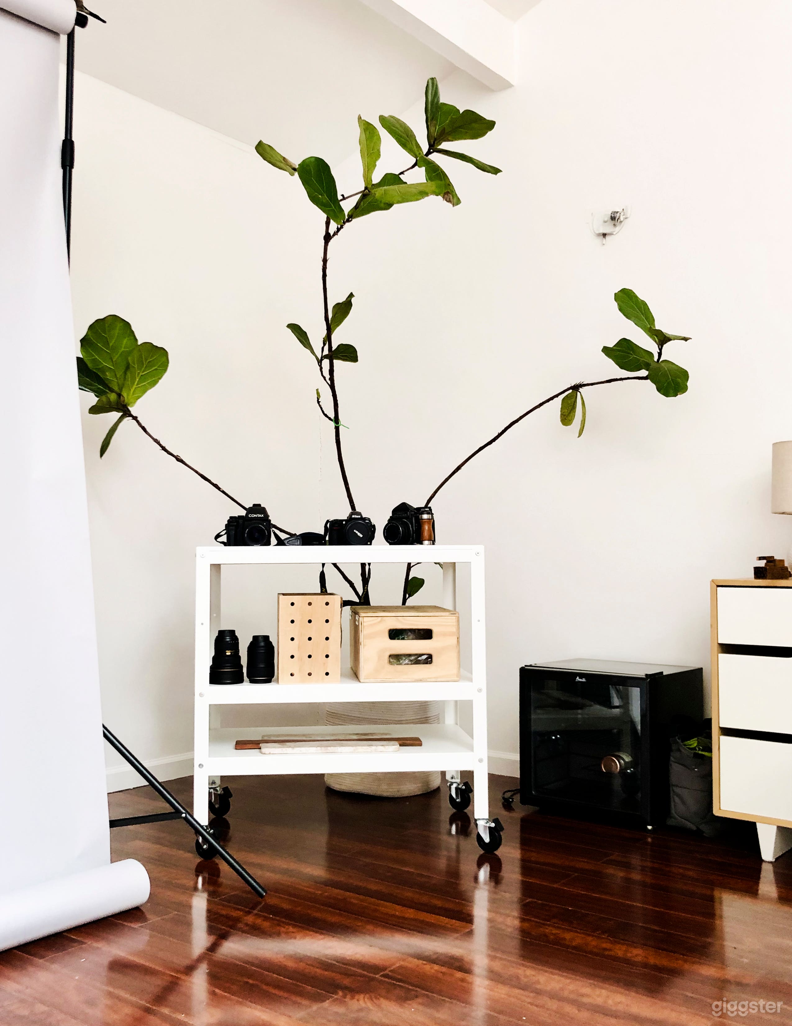 North Berkeley Studio Photo 4