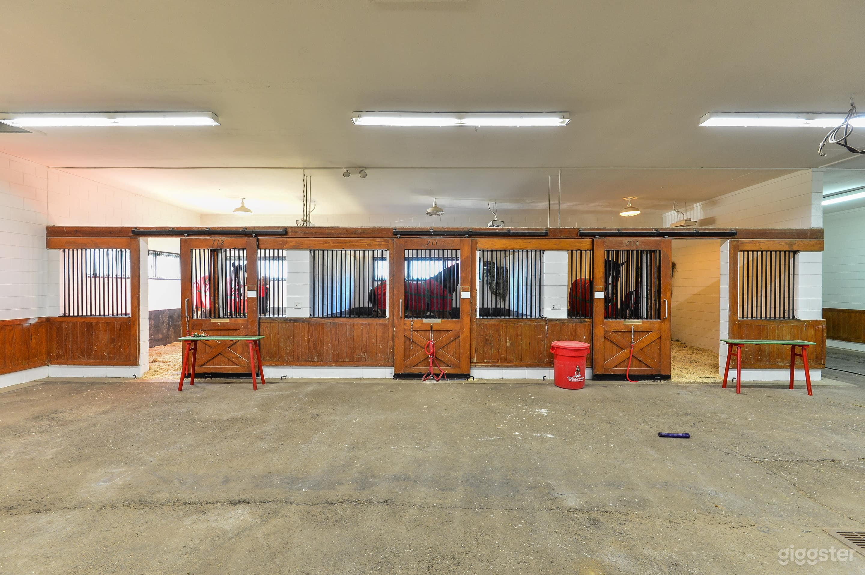 Mare barn stalls