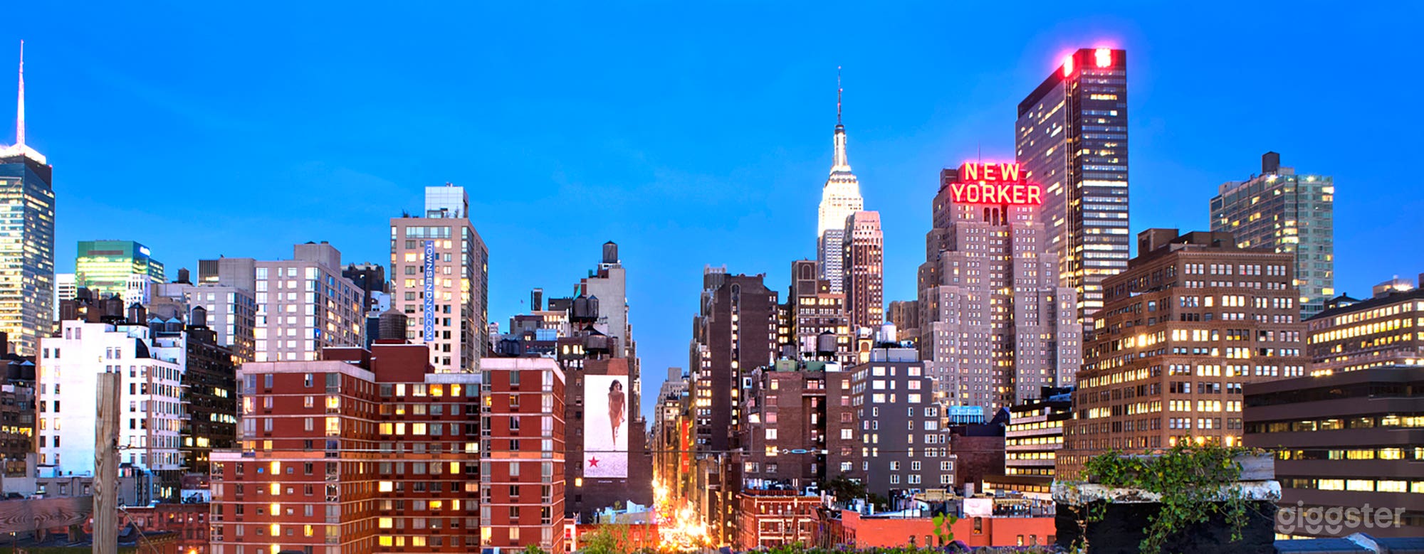 Rooftop With Midtown NYC View Photo 1