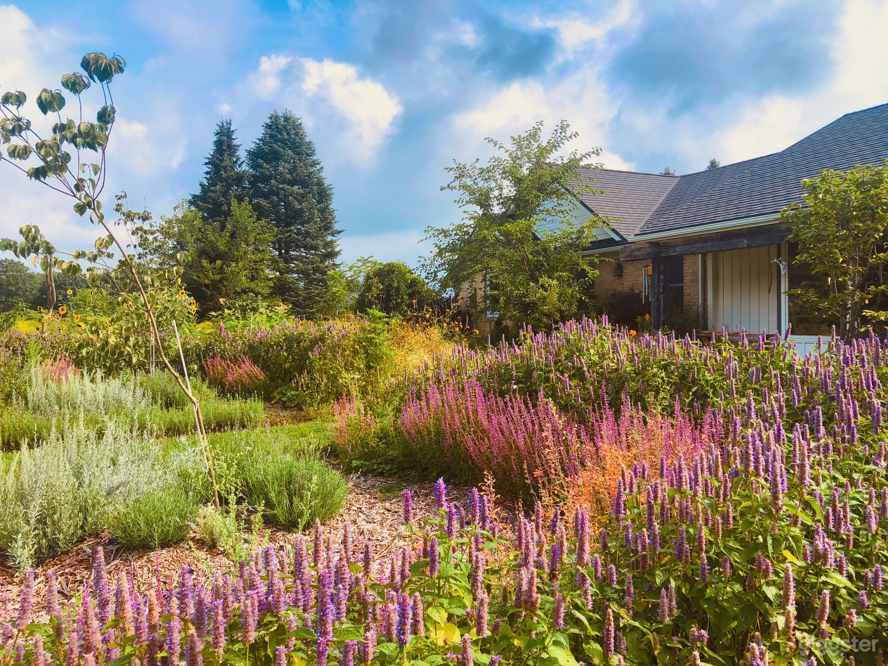 Eclectic Farm Estate and wilderness reserve Photo 1