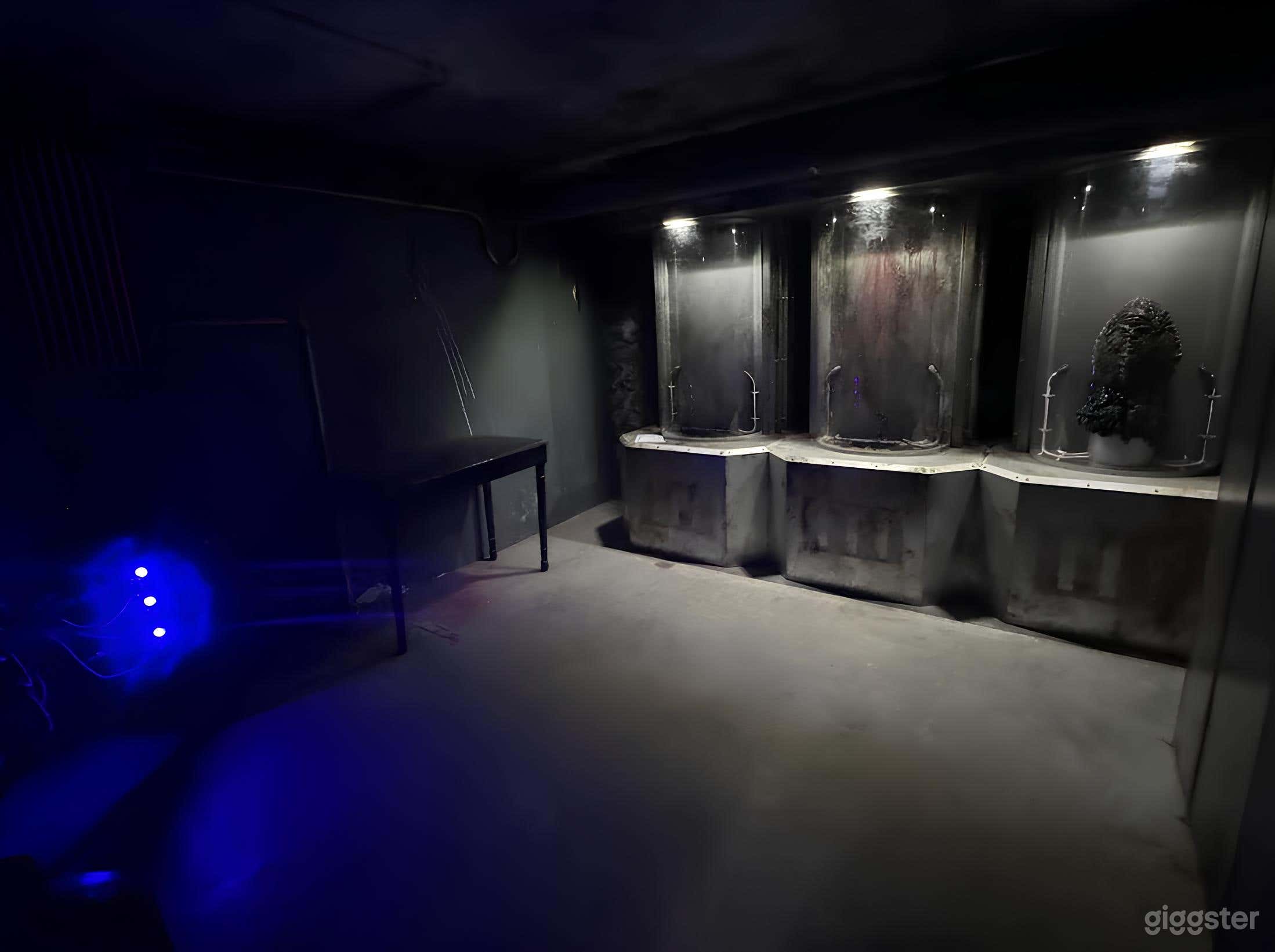 Photo de Laboratoire infesté 4