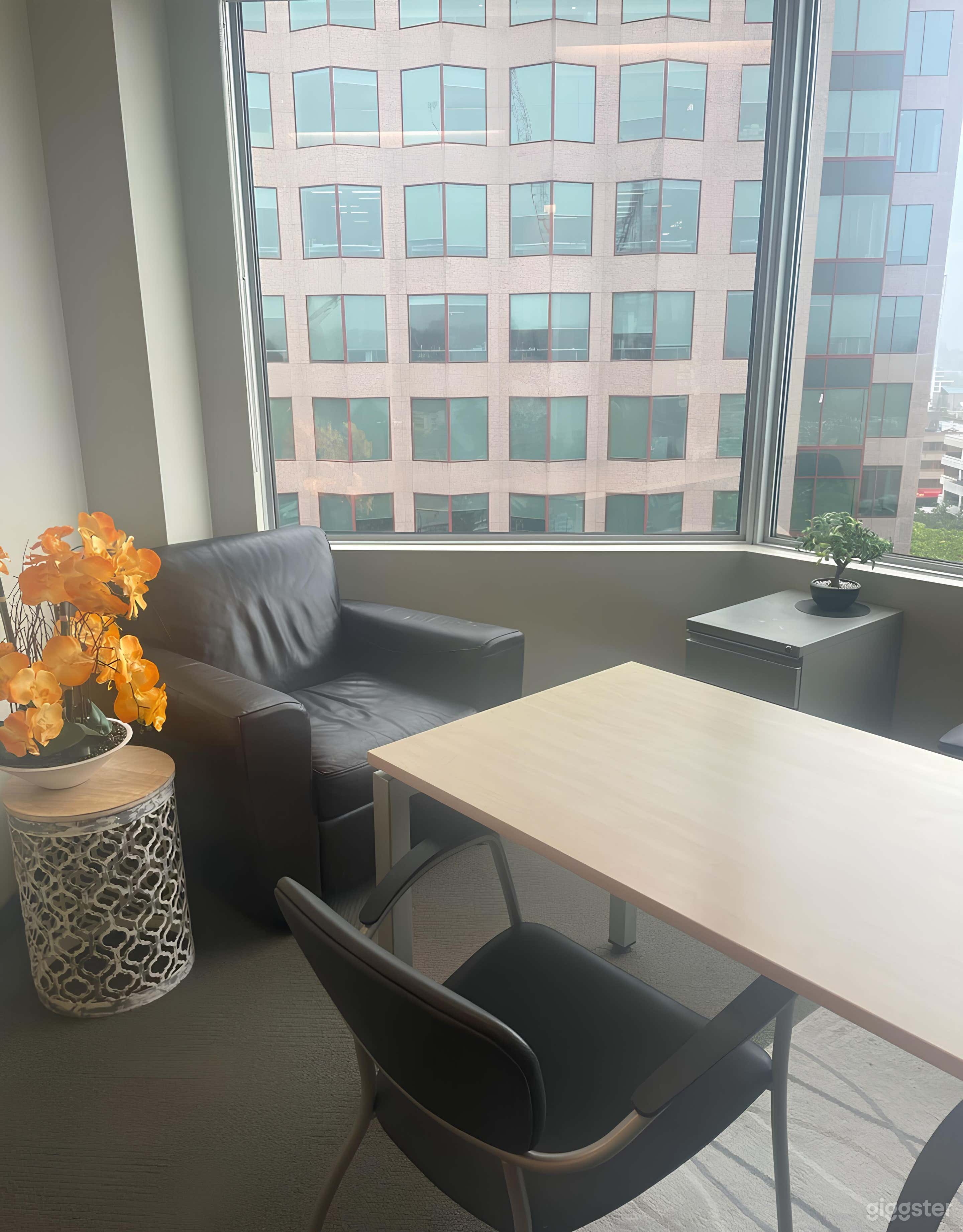 Flex office for rent Photo 4