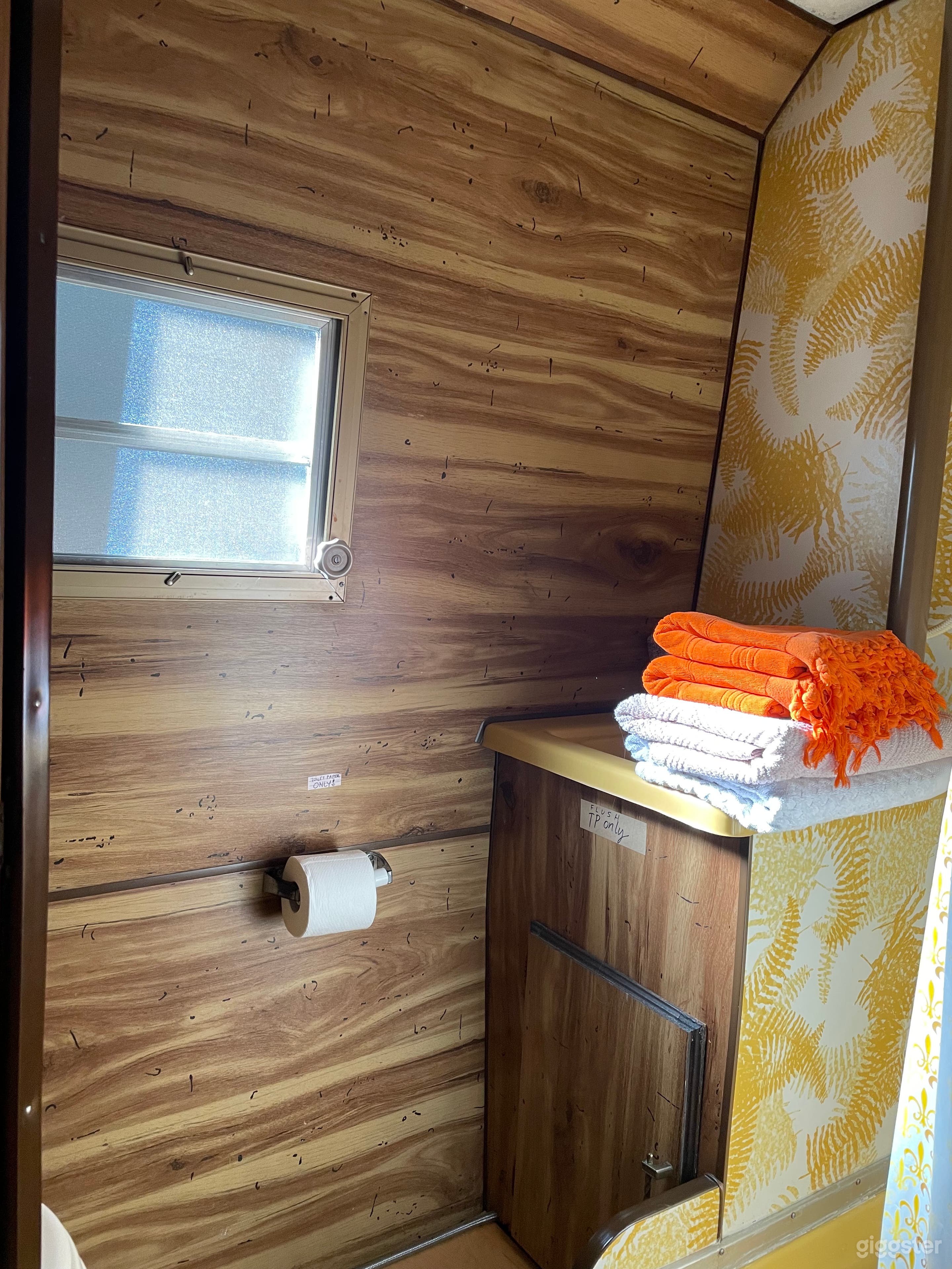 Bathroom including sink, flush toilet, and mini shower