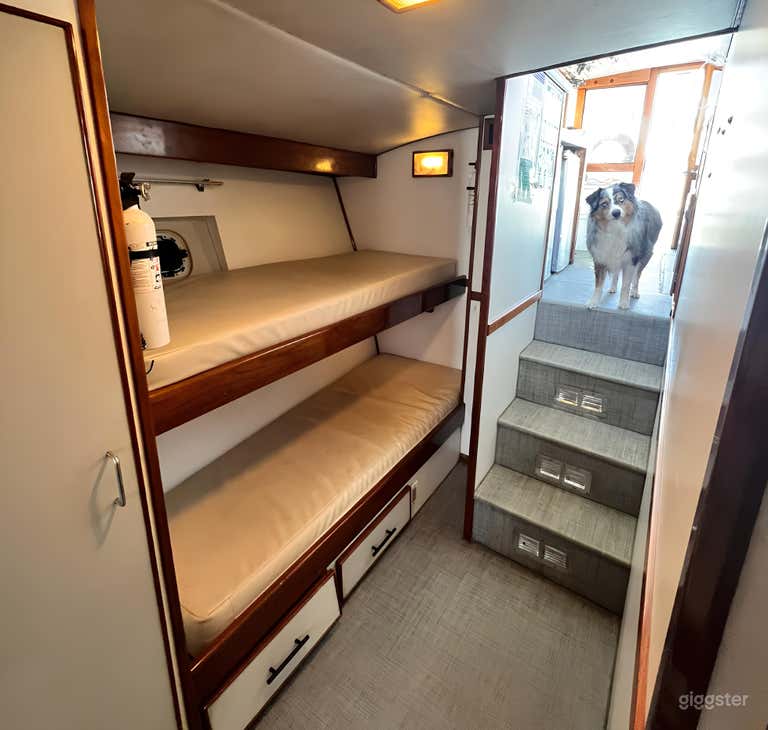  Nautilus 50' FISHING CHARTER 