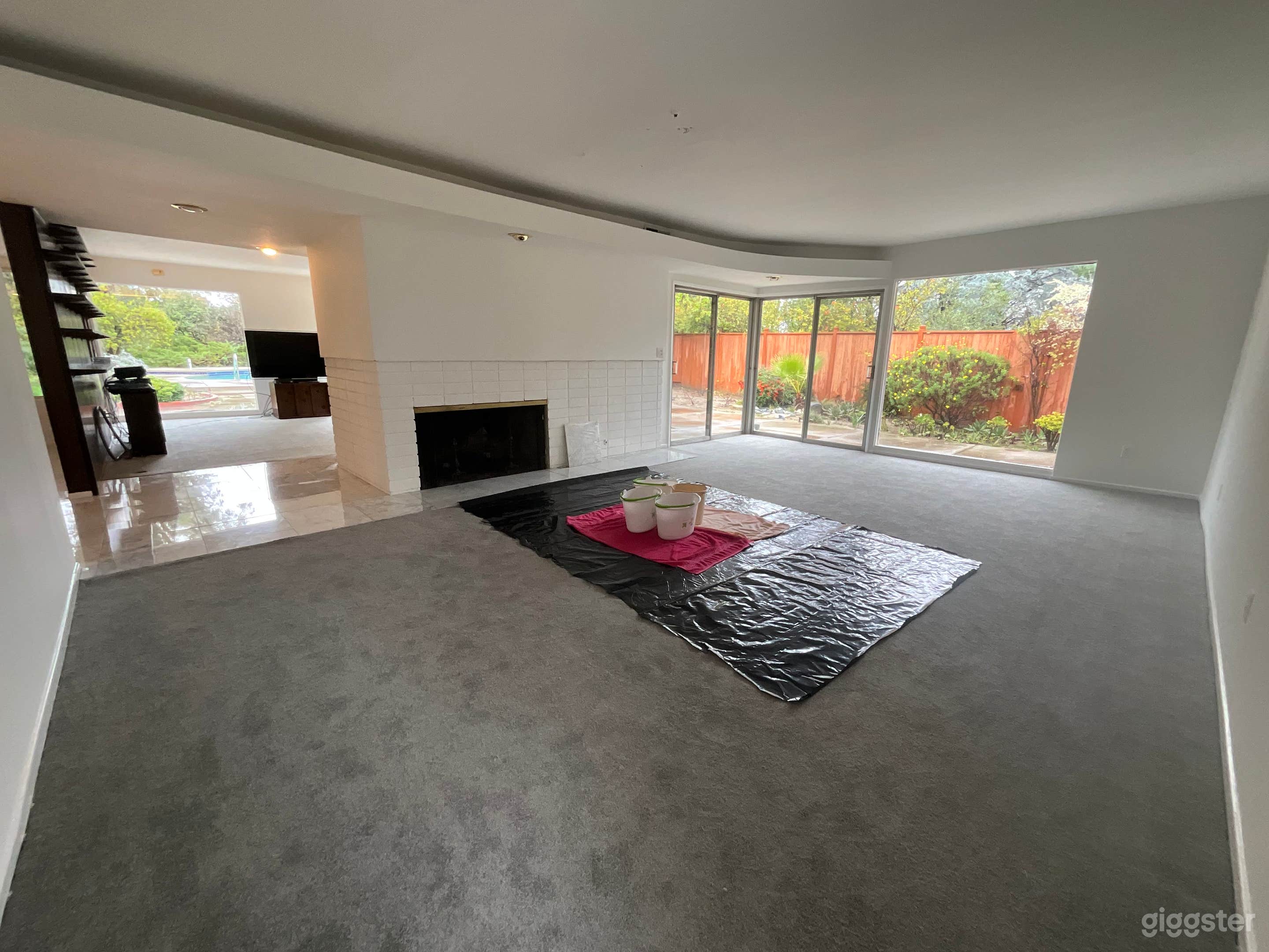 Front living room, fireplace, larger glass windows to side and back yard. 