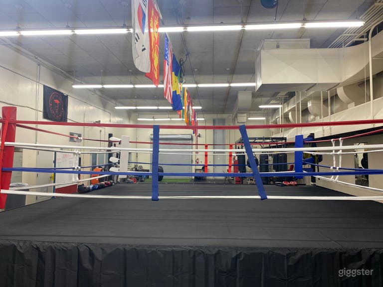  Knockout Content Lab 