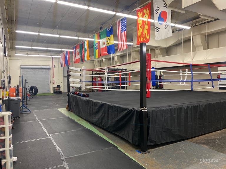  Knockout Content Lab 