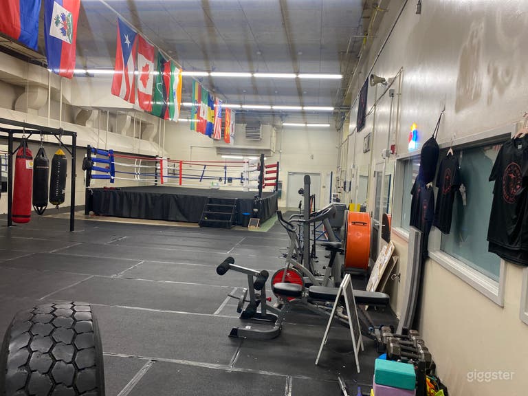  Knockout Content Lab 