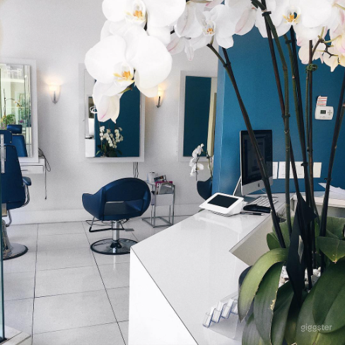 Upscale Salon in Beverly Hills Photo 1