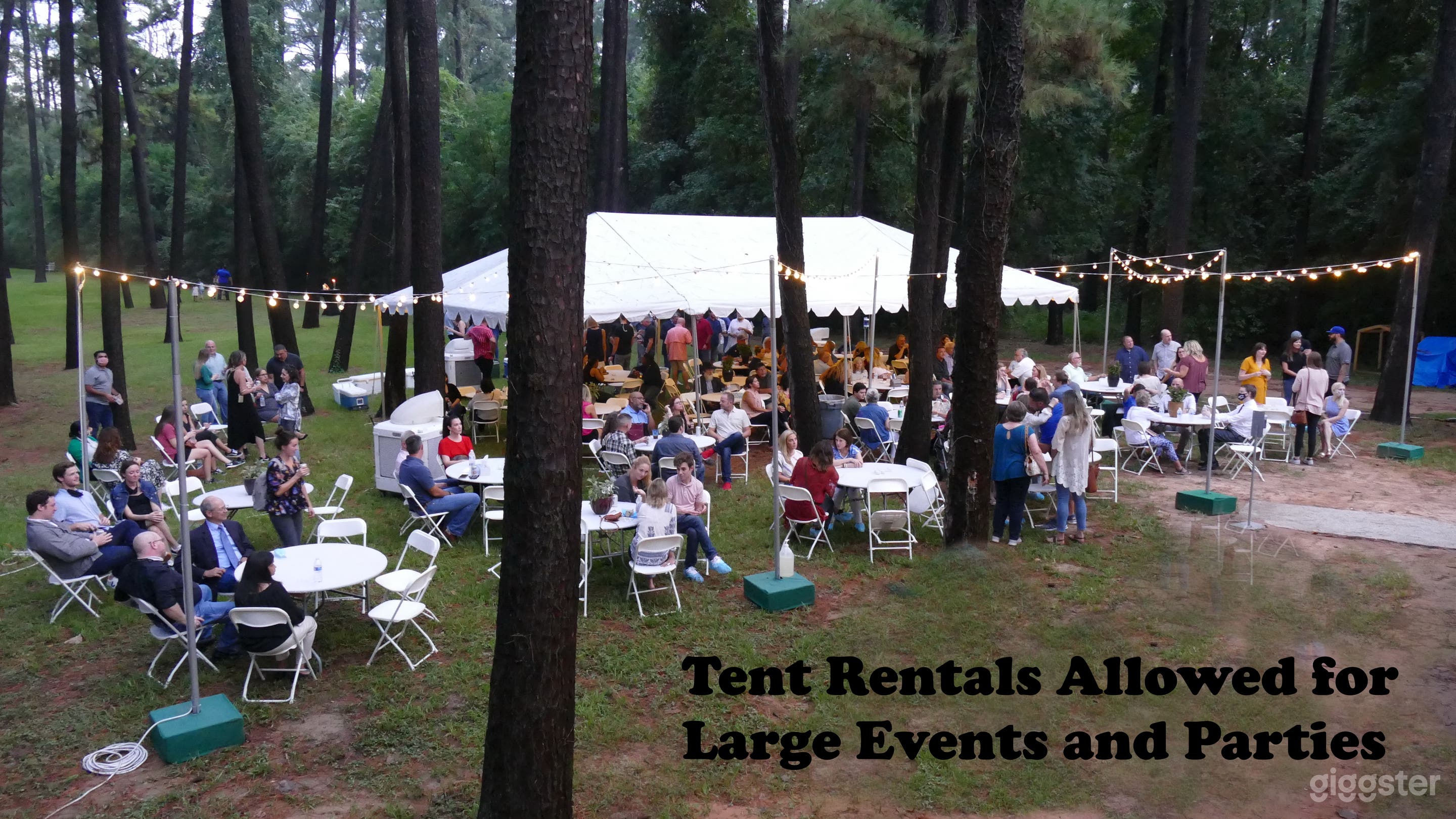 Multipurpose Venue - Parties - Photo/Film Shoots  Photo 3