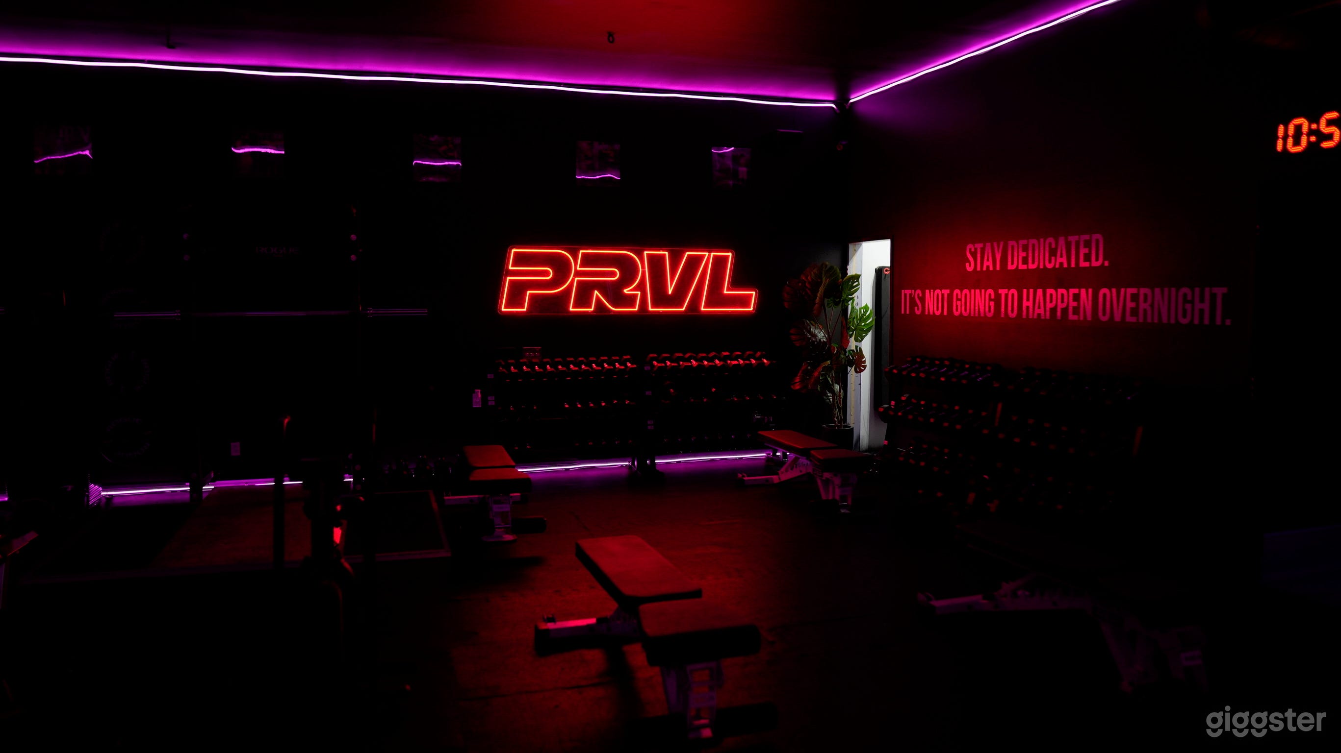 5000 SQFT Fitness Gym Photo 2