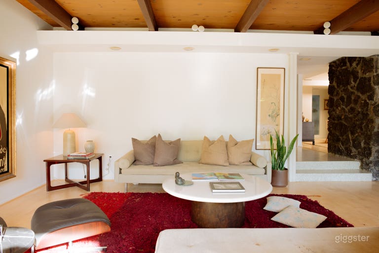  Mid-Century Modern Mountain Villa 