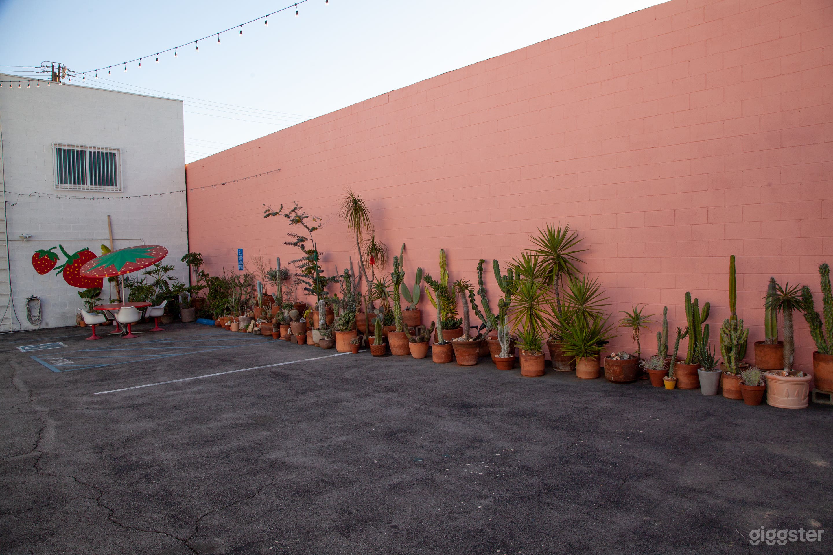 Exterior / Parking / Cactus Garden 