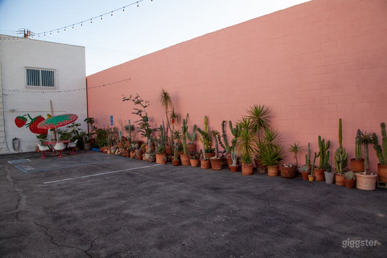  Exterior / Parking / Cactus Garden  