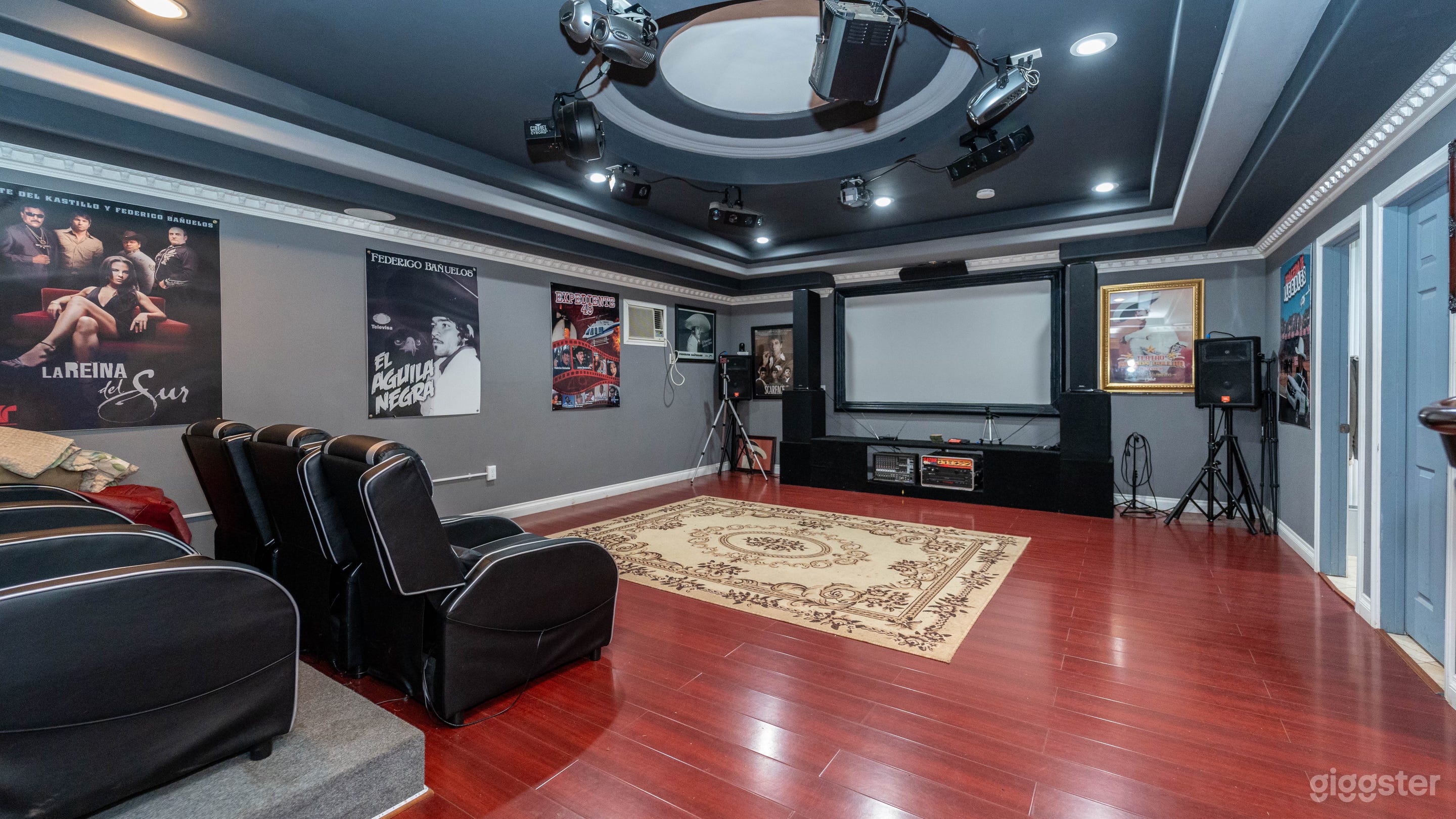 Private Theater in Wine County Photo 3