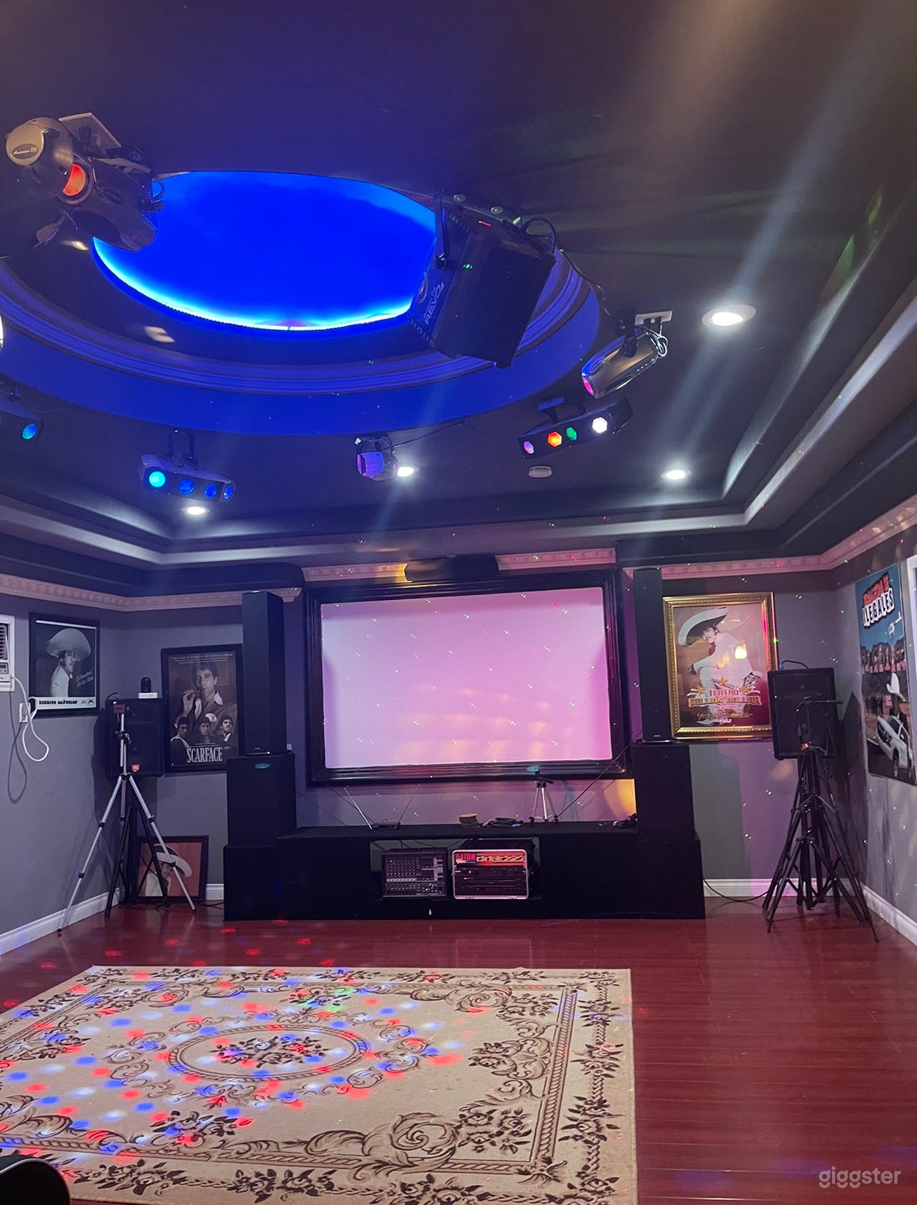 Private Theater in Wine County Photo 4