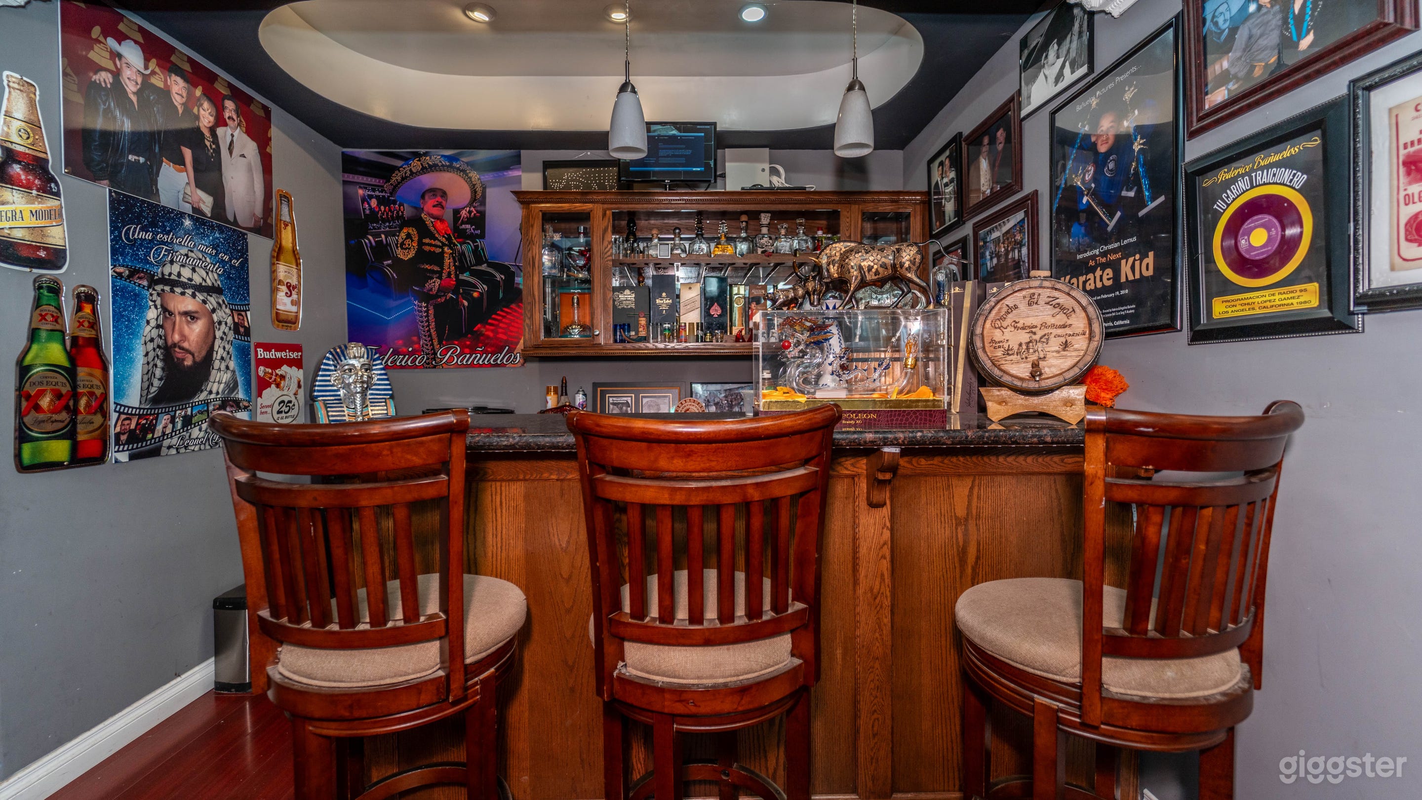 Private Theater in Wine County Photo 2