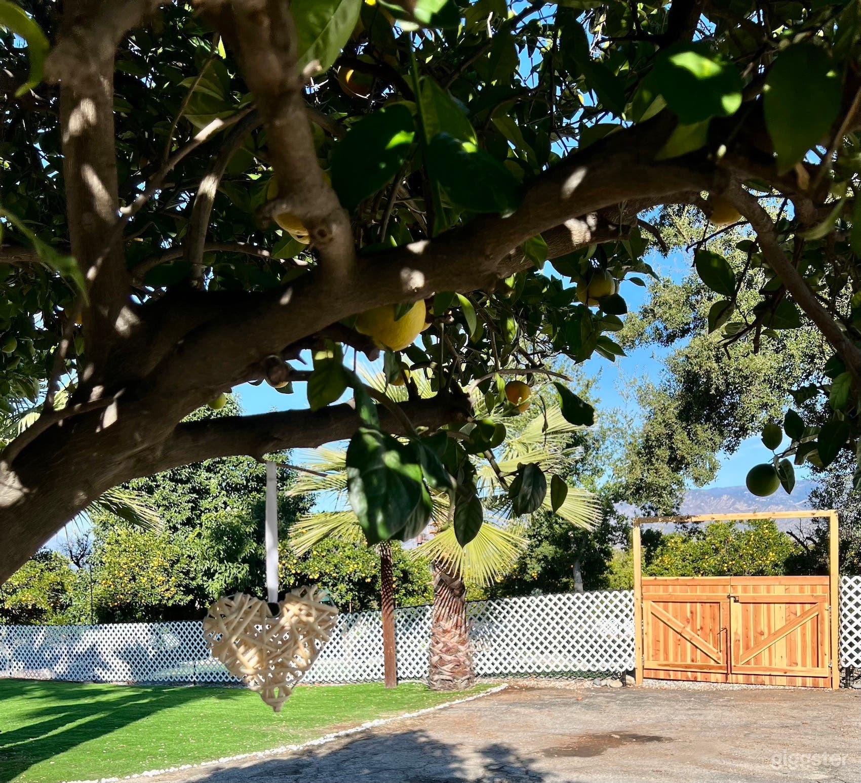Gate opening to King Street Orchard