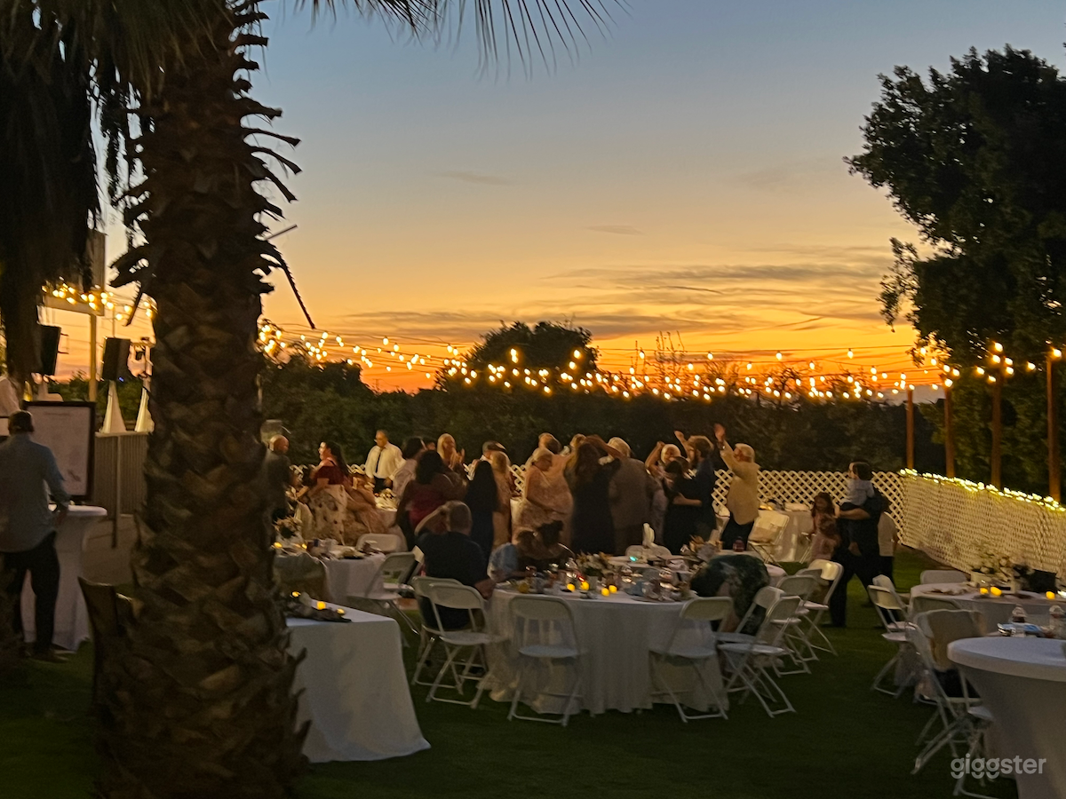 Wedding at the orchard