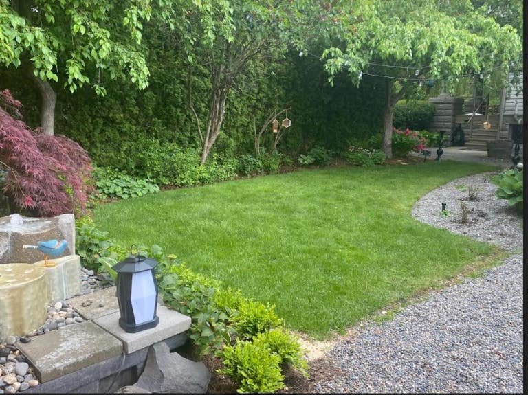  West Lawn And Porch With Firepit 